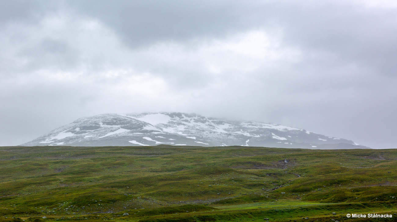Fyra grader, storm och regn längs Vildmarksvägen, Jämtland.
