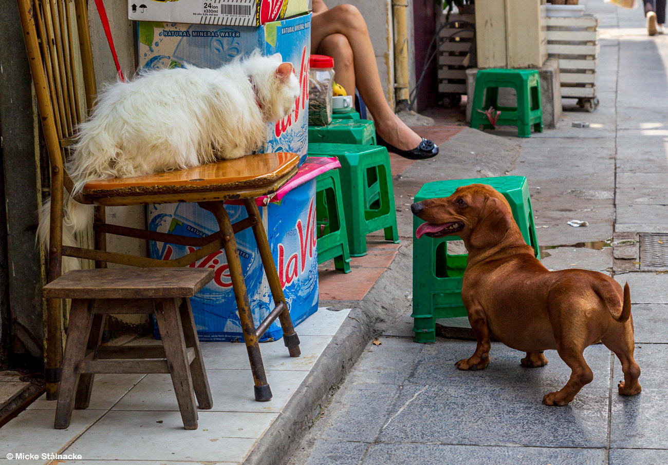Hanoi, Vietnam (2016).