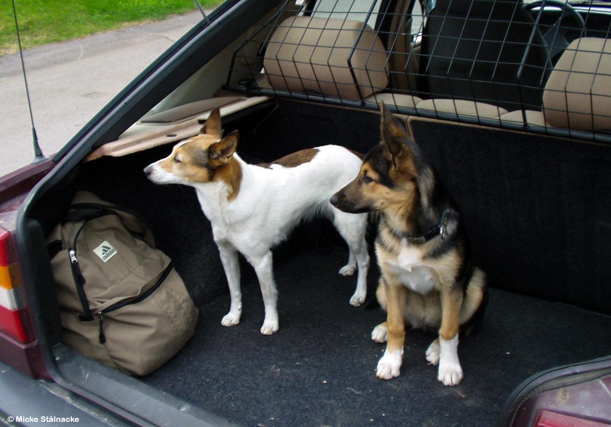 Med Flisan, sommaren 2005.