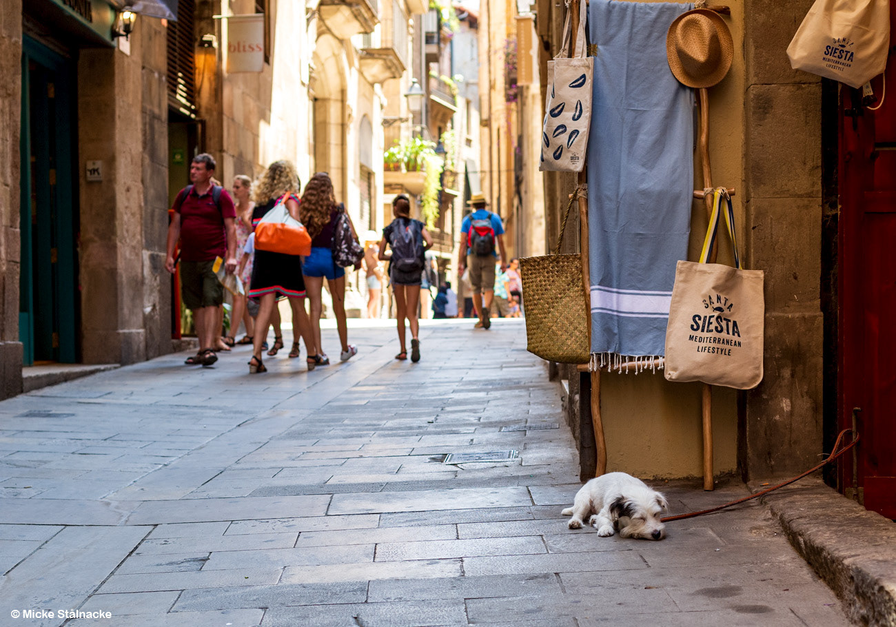 Barcelona, Spanien (2017).