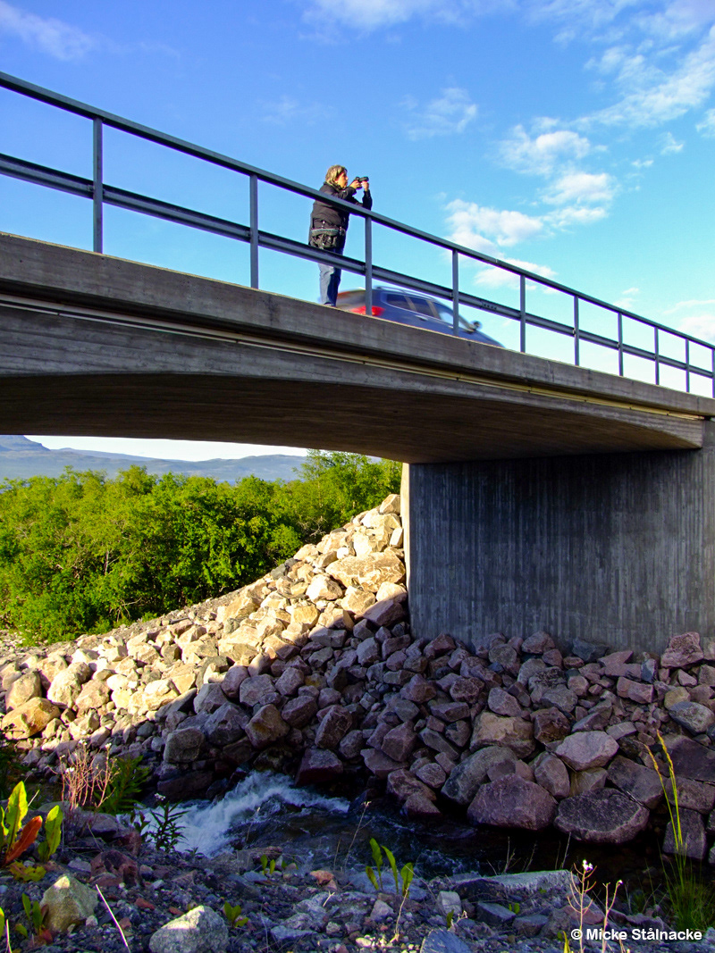 Birgitta in action med kameran, sommaren 2010.
