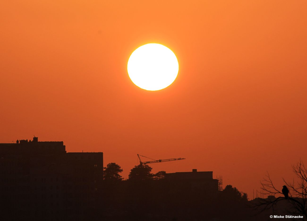 Vintersol över Uddevalla (2014).