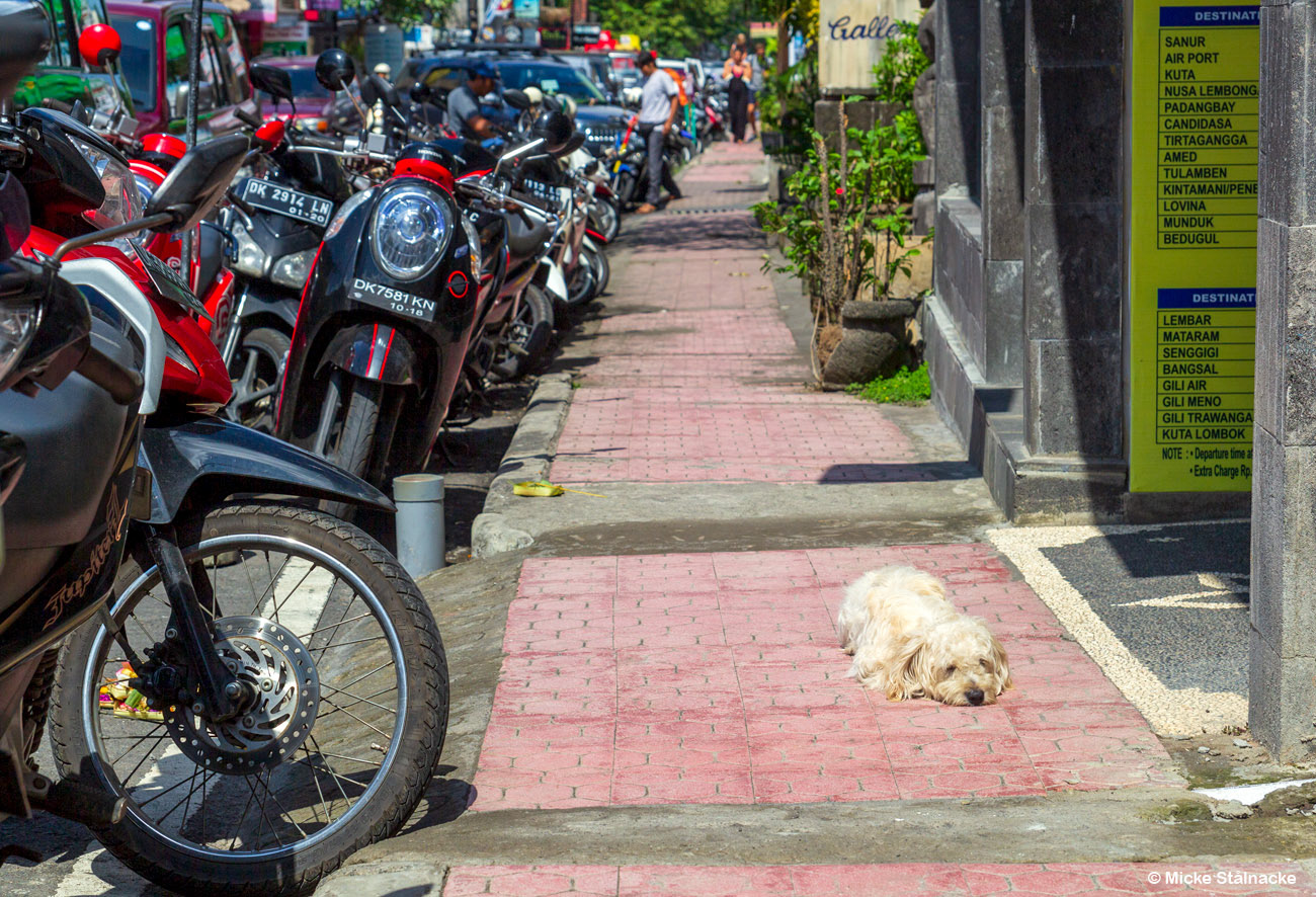Ubud, Bali, Indonesien (2016).