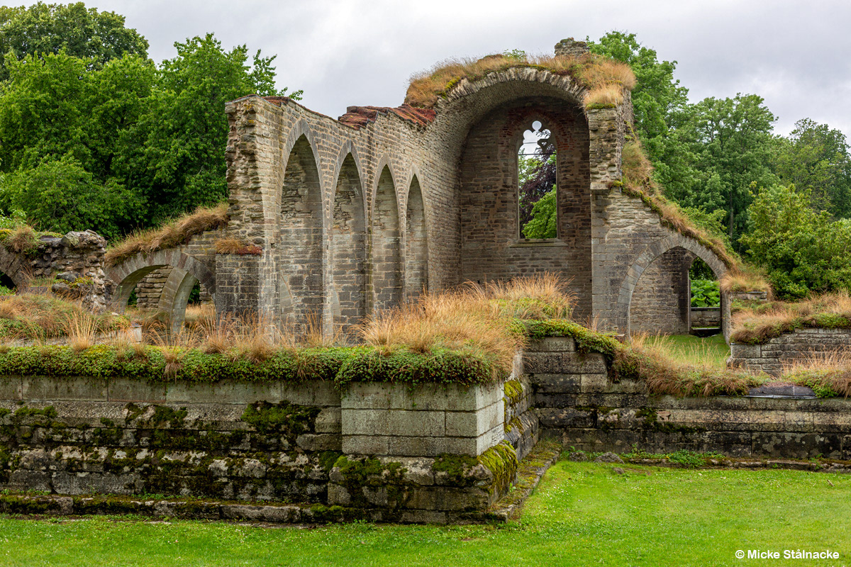 Alvastra klosterruin (2025).