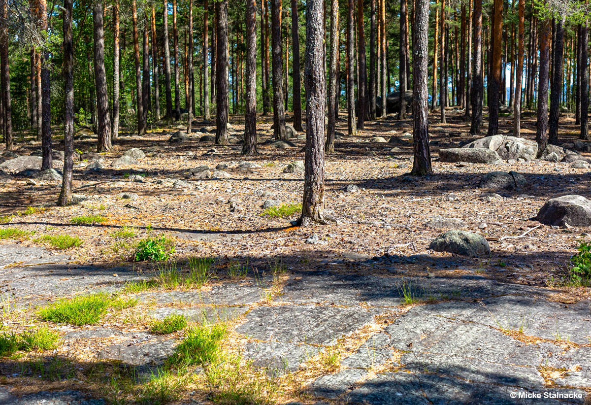 Galgberget i Falun (2025).