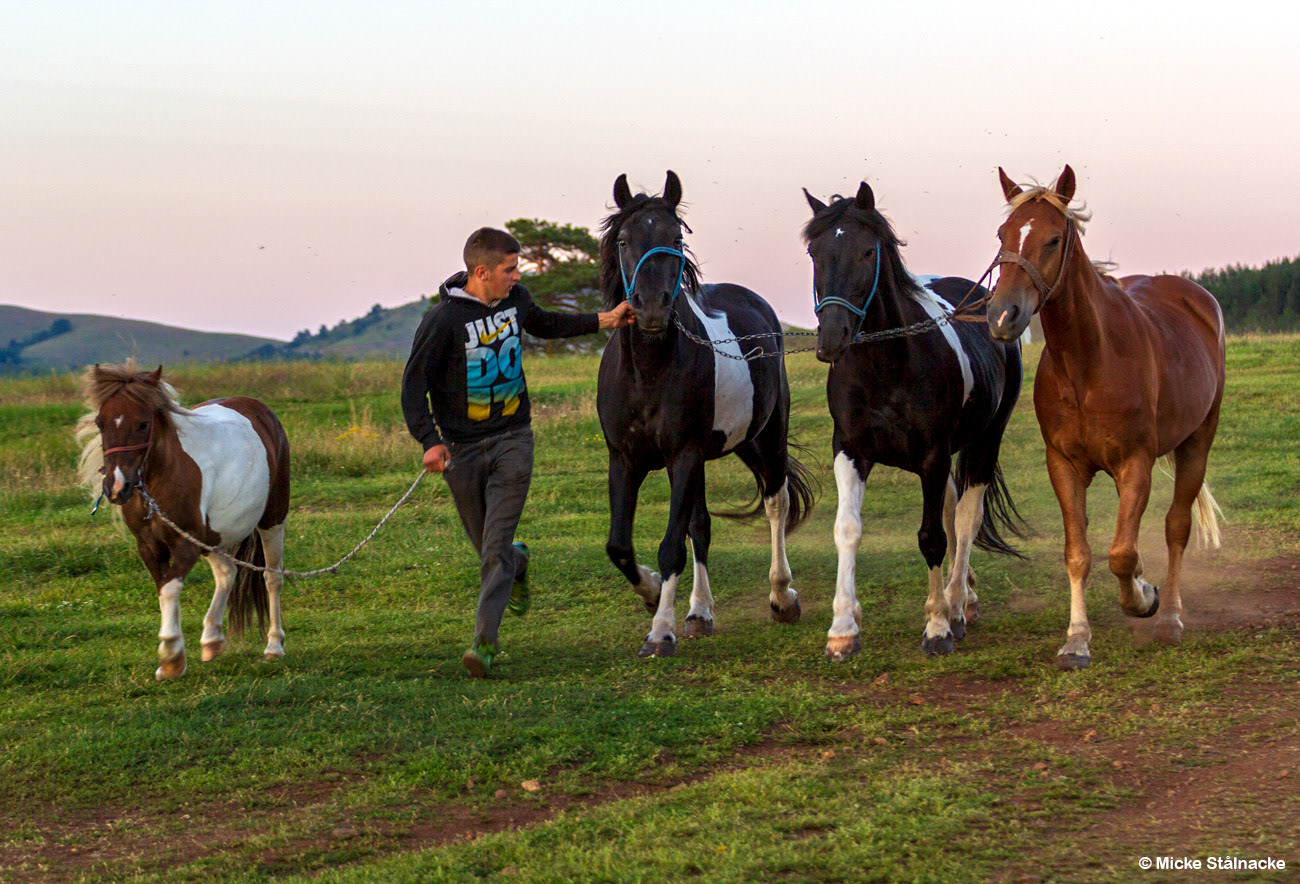 Zlatibor, Serbien (2015).