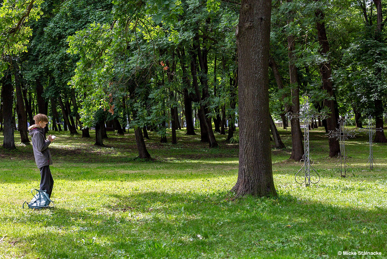 Tallinn, Estland (2024).