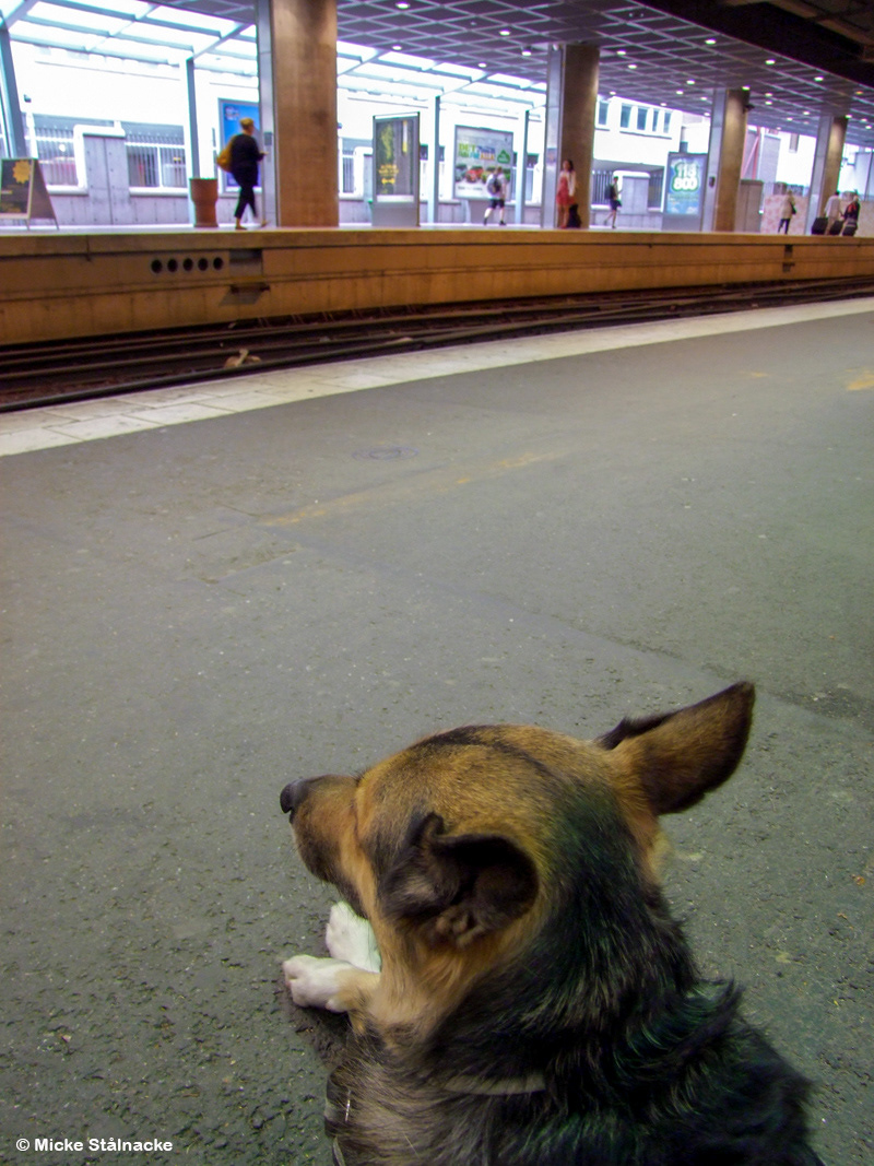 I väntan på nattåget norrut. Stockholm Central, juli 2012.