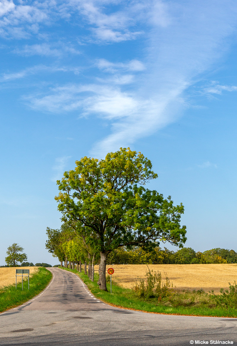 Husaby, Västergötland.
