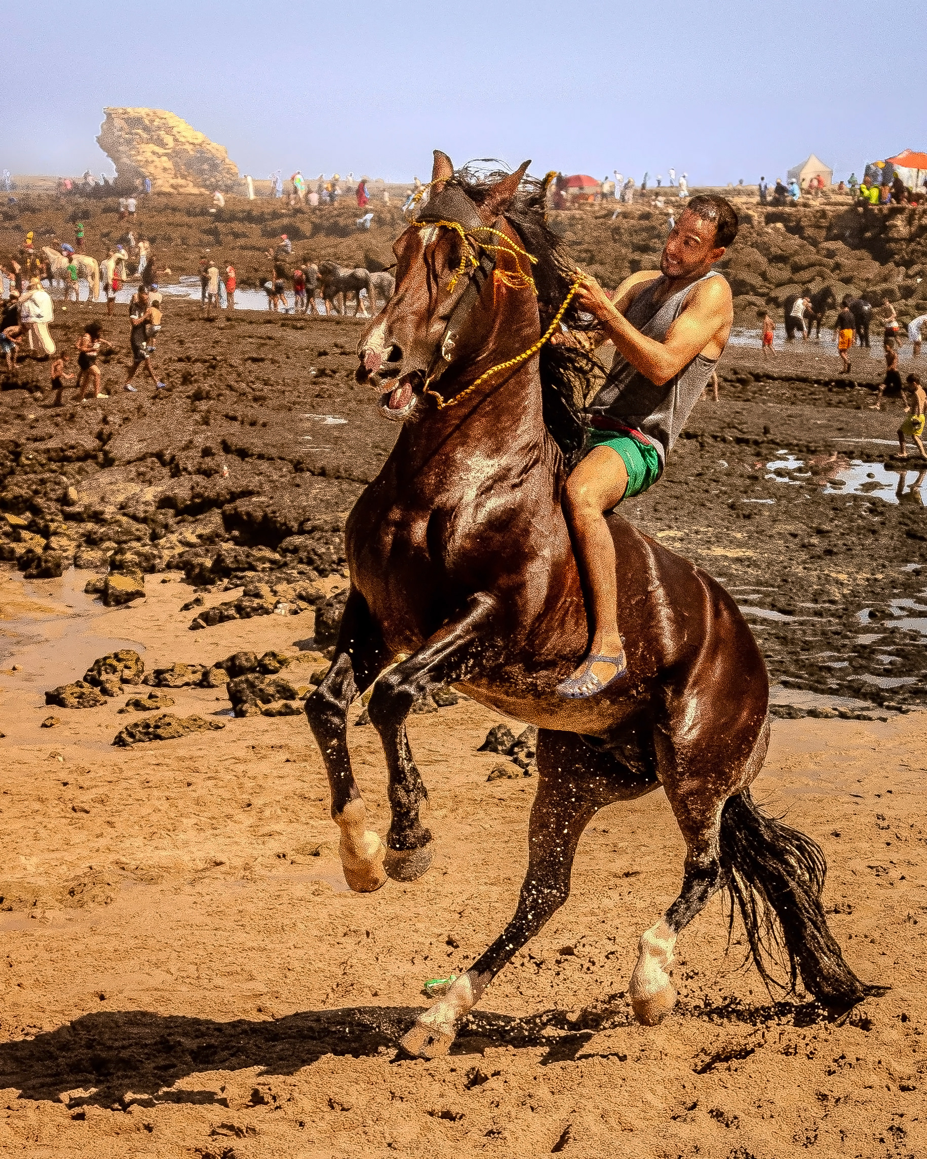 Moulay Abdellah, 2025