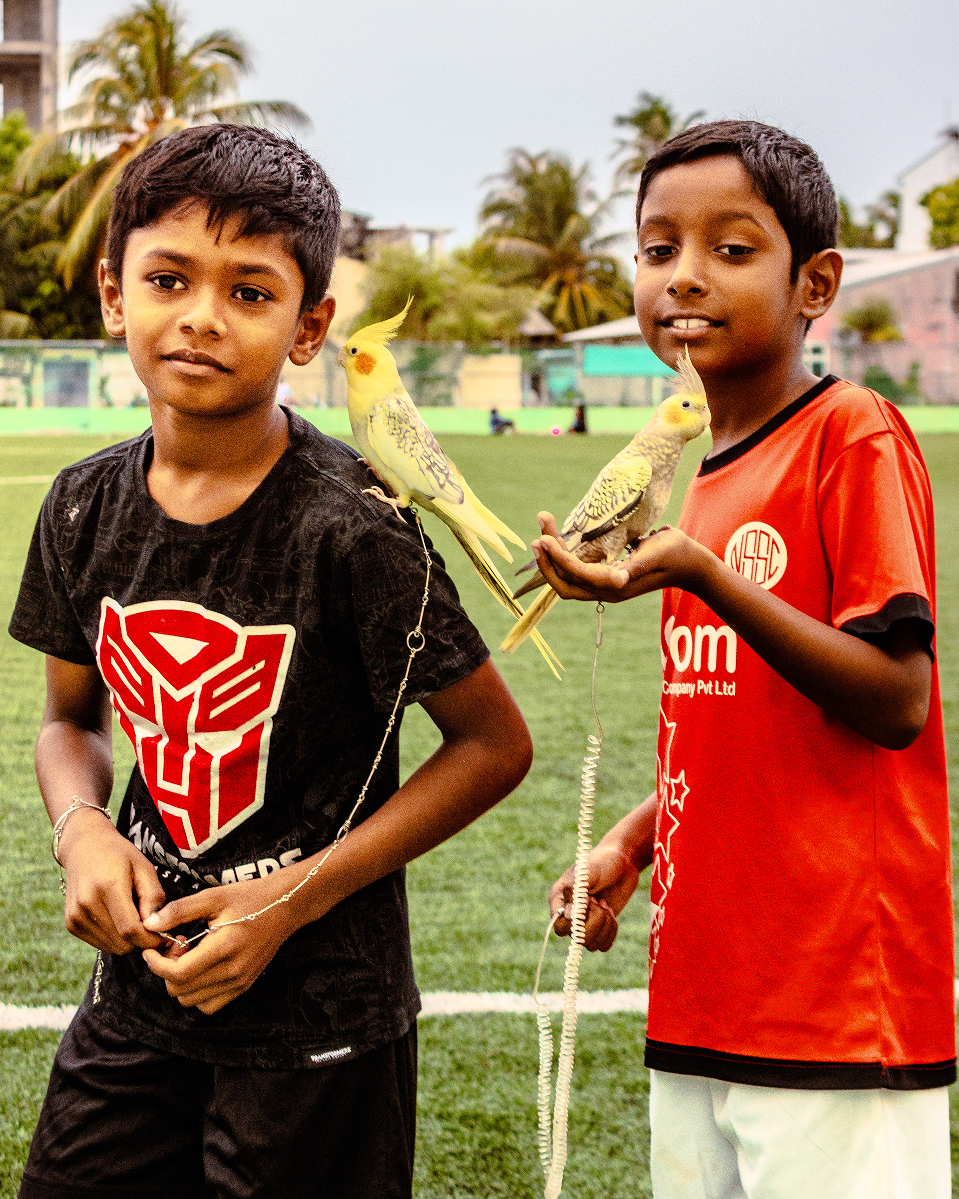 Maafushi, 2023