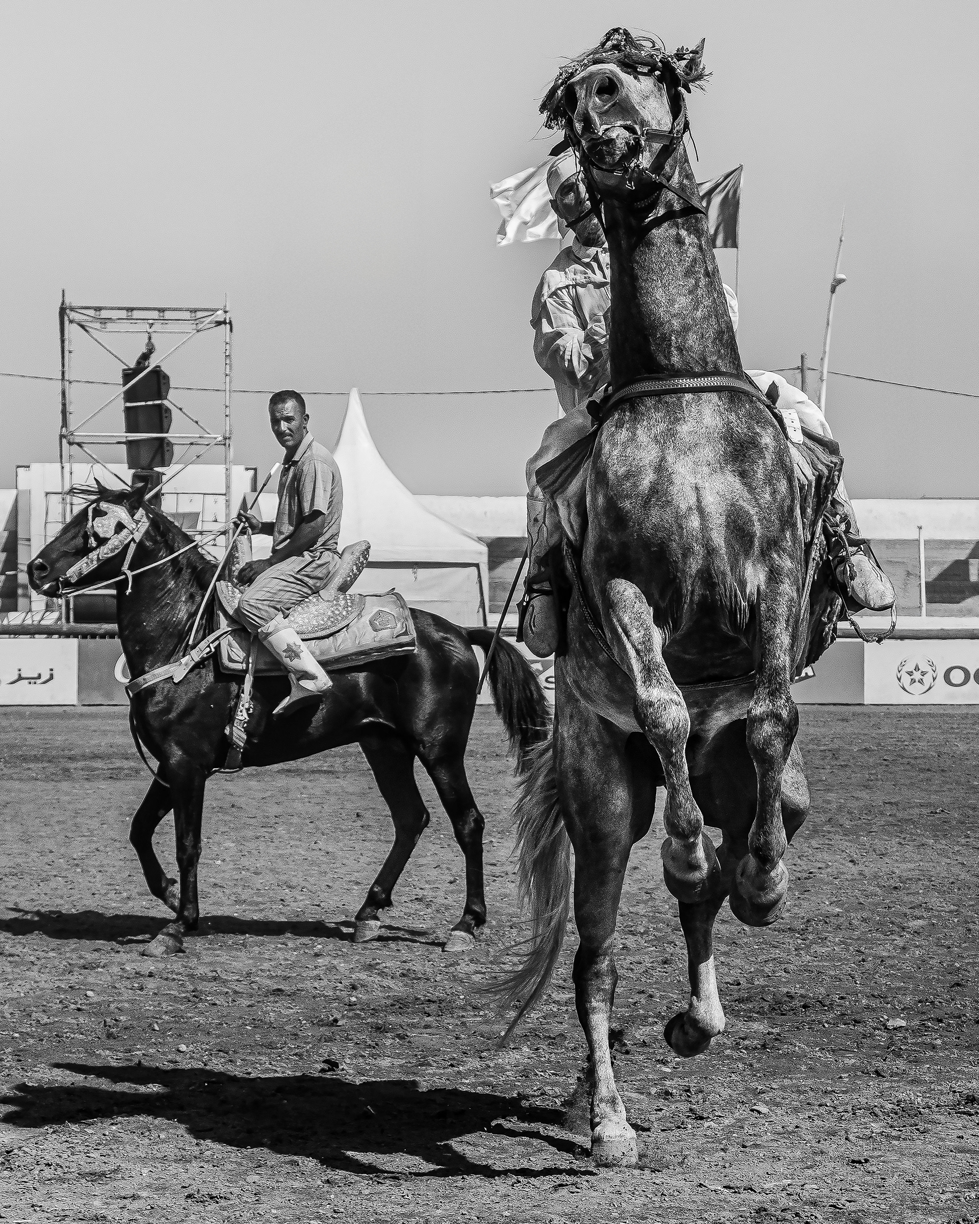 Moulay Abdellah, 2025