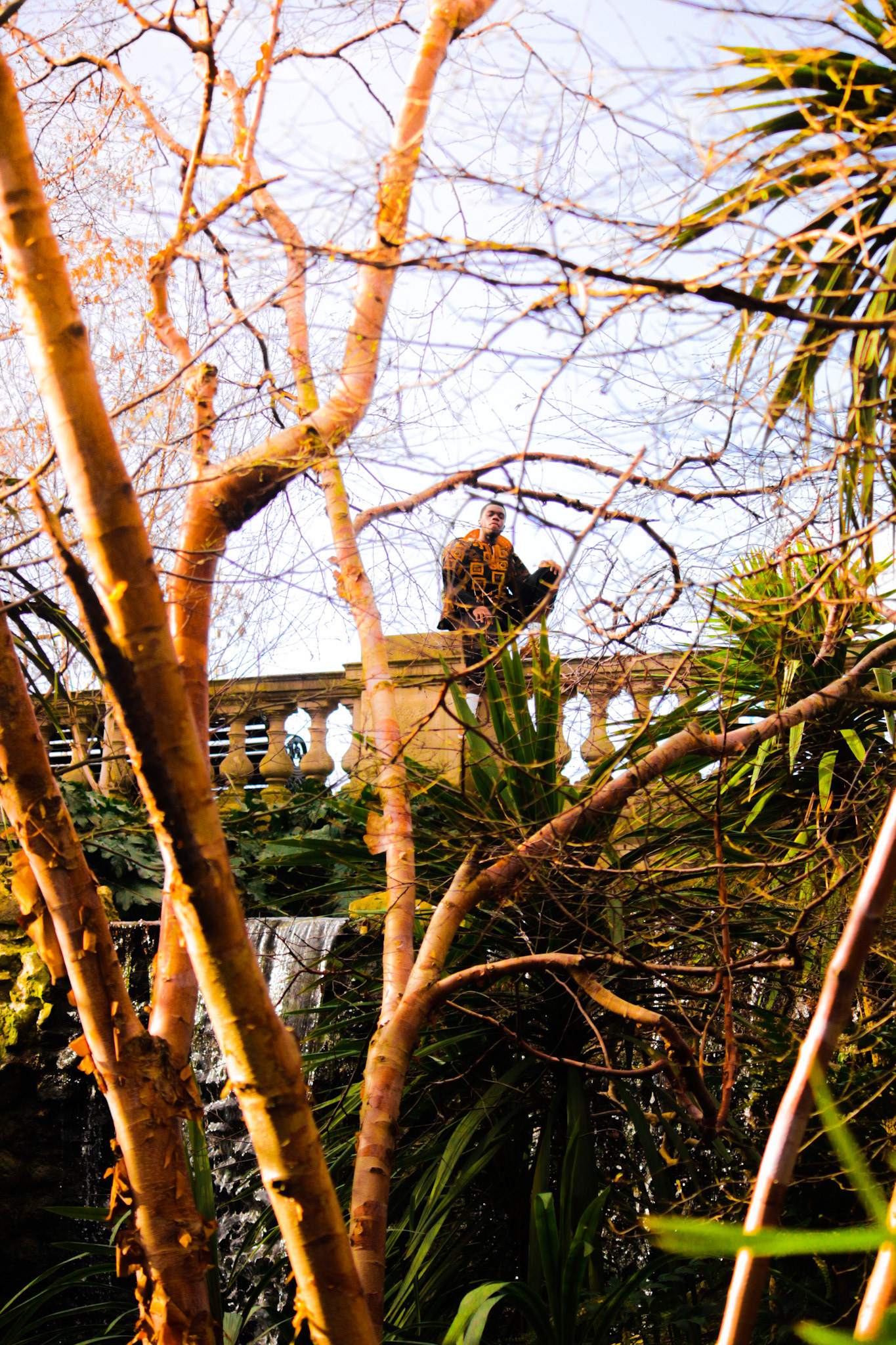 Norman in the Wild, 2018