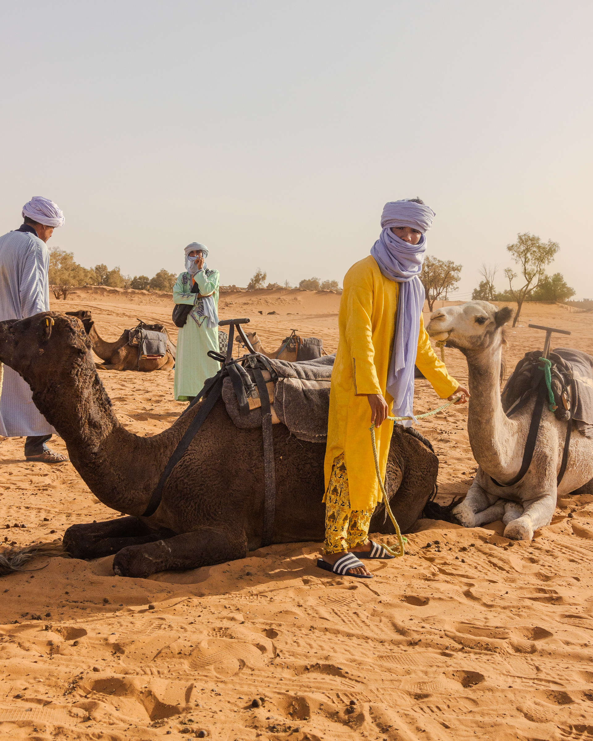 Sahara Desert, 2024
