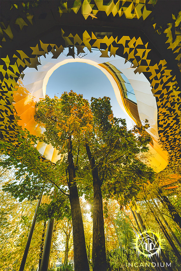 House of Music, Budapest - A demanding composition, resolved only when structure and forest finally aligned. What emerges is a shared presence rather than a hierarchy.  ($450)