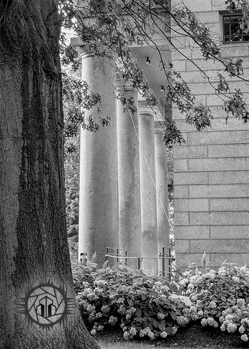 In Your Backyard - Taken just a few steps from the gallery, this image is a reminder that distance isn’t required for meaning. Light, shadow, perspective, and composition are enough if you’re willing to look closely where you already are.  (%75)