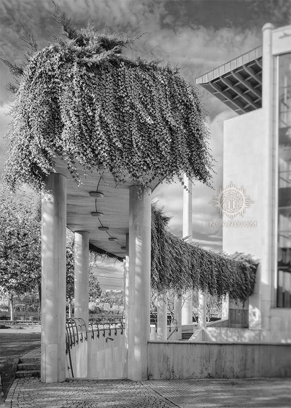 My Hairdresser Is Better Than Yours - Through perspective and framing, ordinary structures transform into imagined forms, reminding us that perception can invent what does not exist, and undo what does.   ($75)