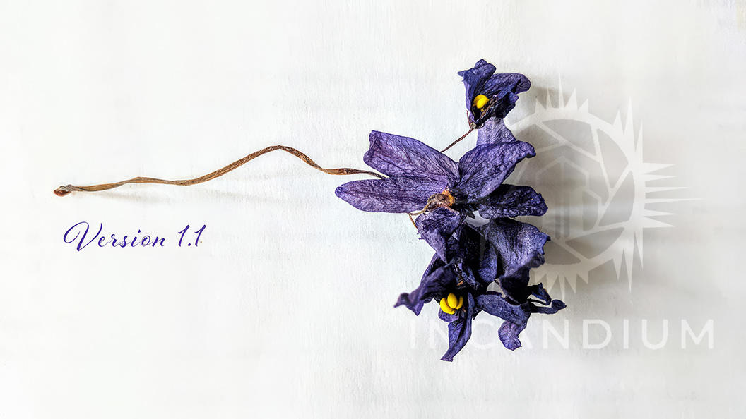 Life, Version 1.1 - Past its moment of bloom, the flower still holds quiet beauty. What appears changed reveals another version of life-altered, fragile, and enduring in its own way. ($180)