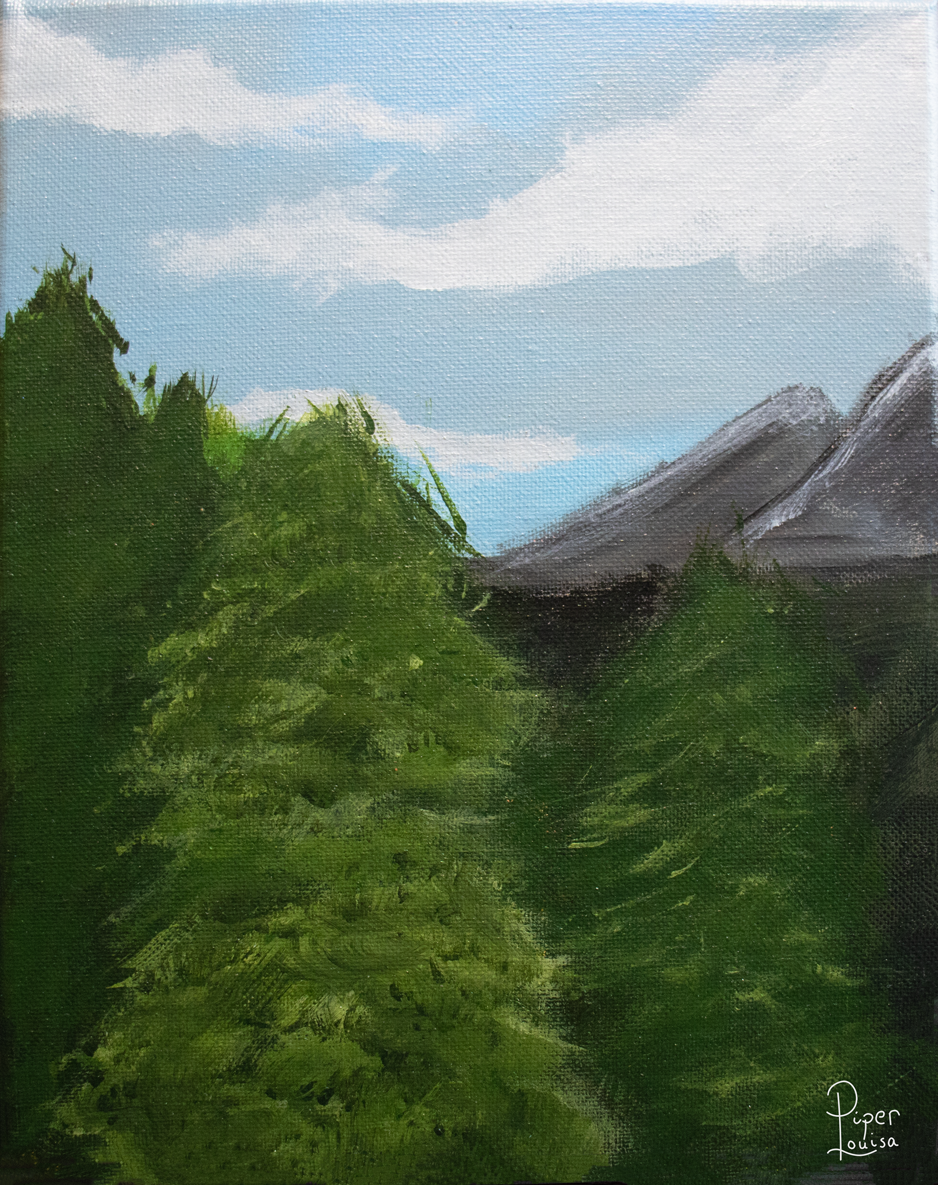 8"x10"- Evergreens of Colorado