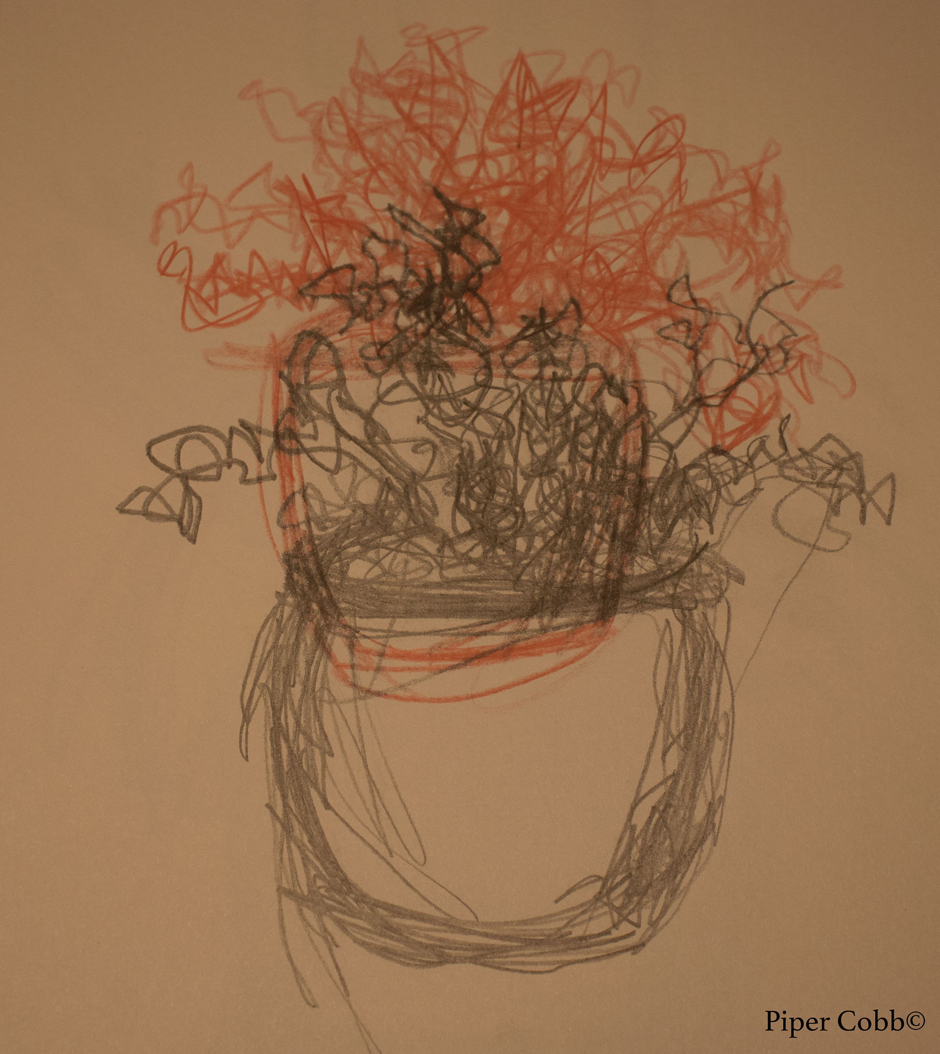 Scribble Gesture, Christmas Cactus (Colored Pencil, Graphite on Paper, Fall 2022)