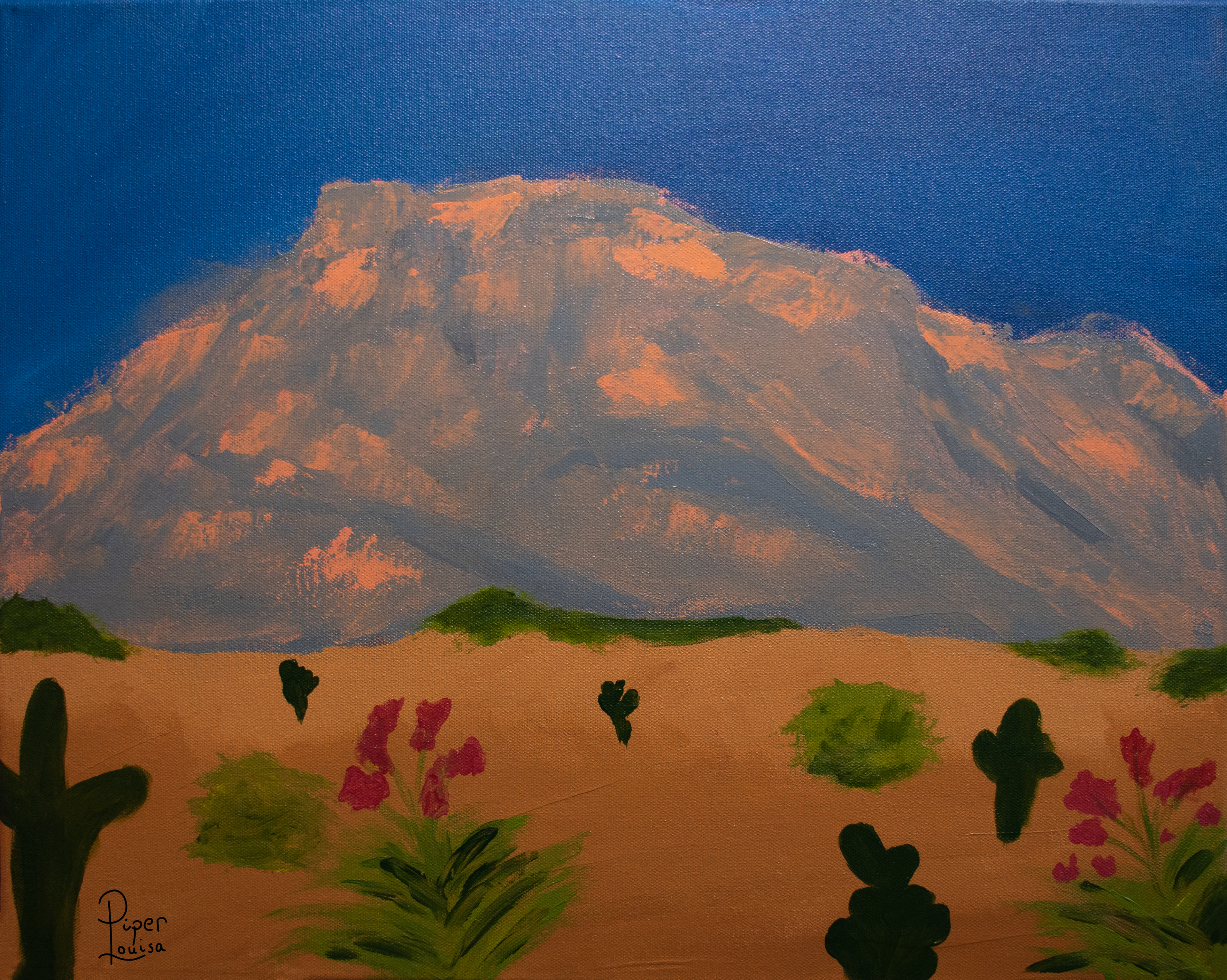 16"x20"- Watermelon Sunset