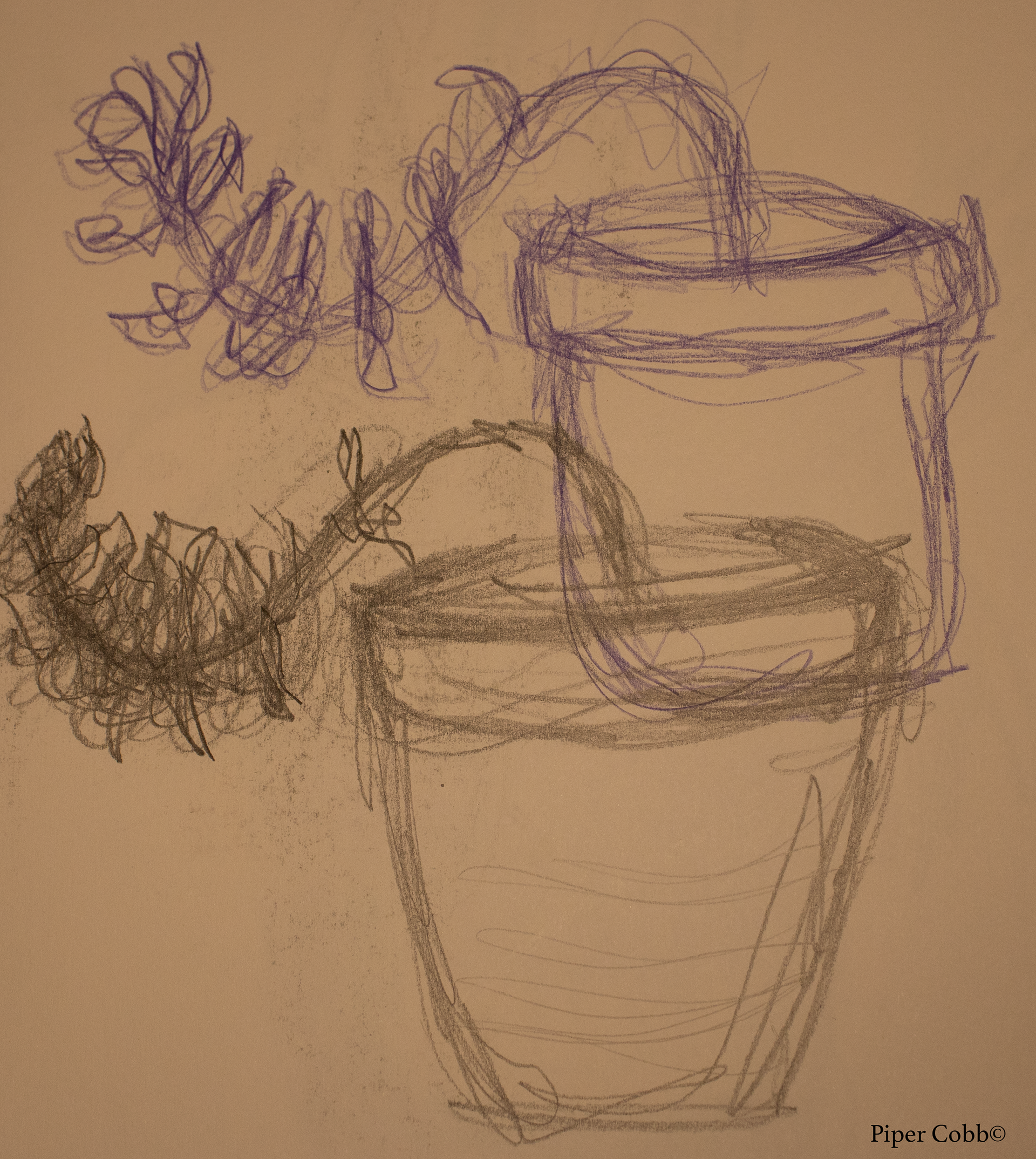 Scribble Gesture, Succulent (Colored Pencil, Graphite on Paper, Fall 2022)