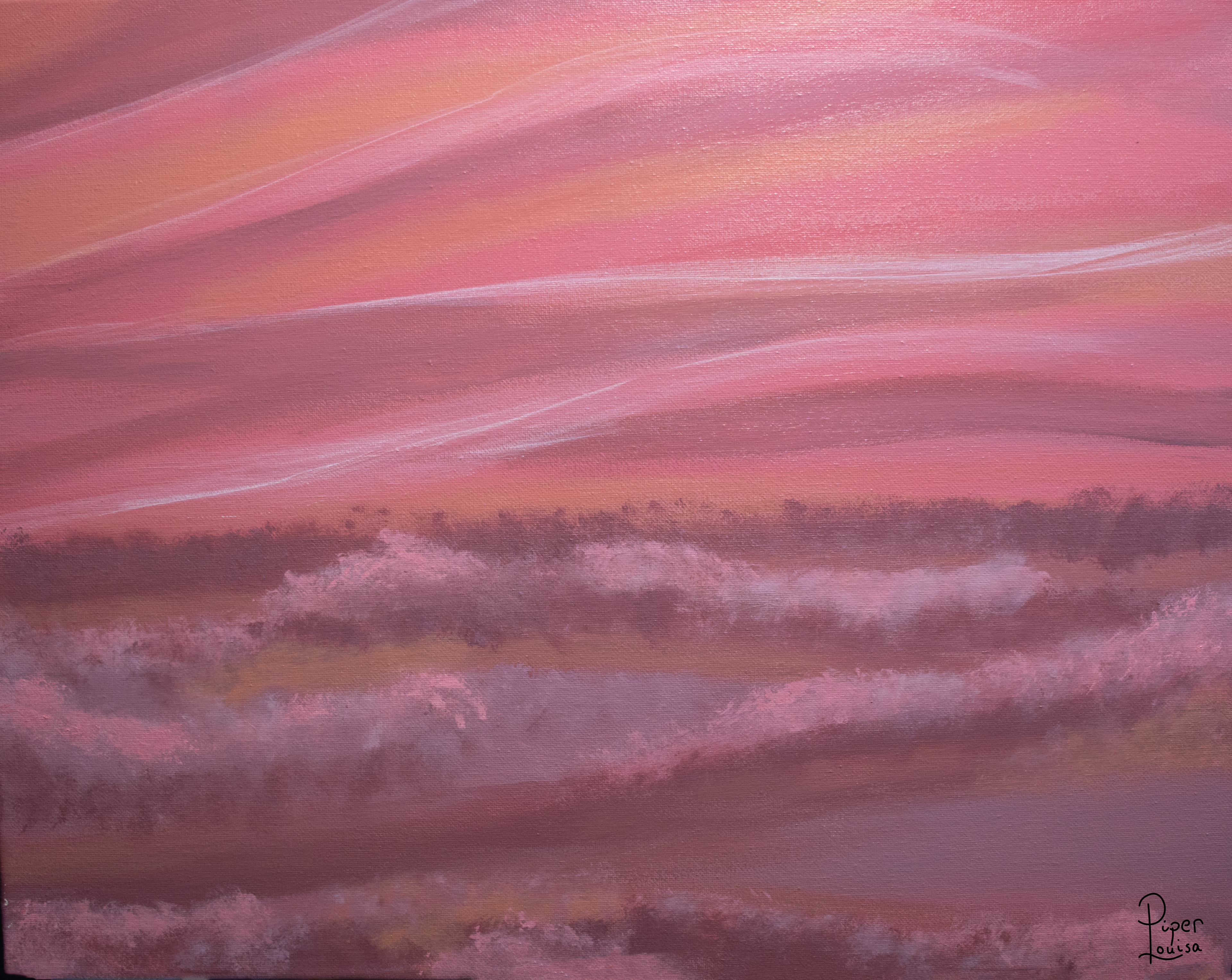 16"x20"- Hydrangea Fields at Sunset - Sold