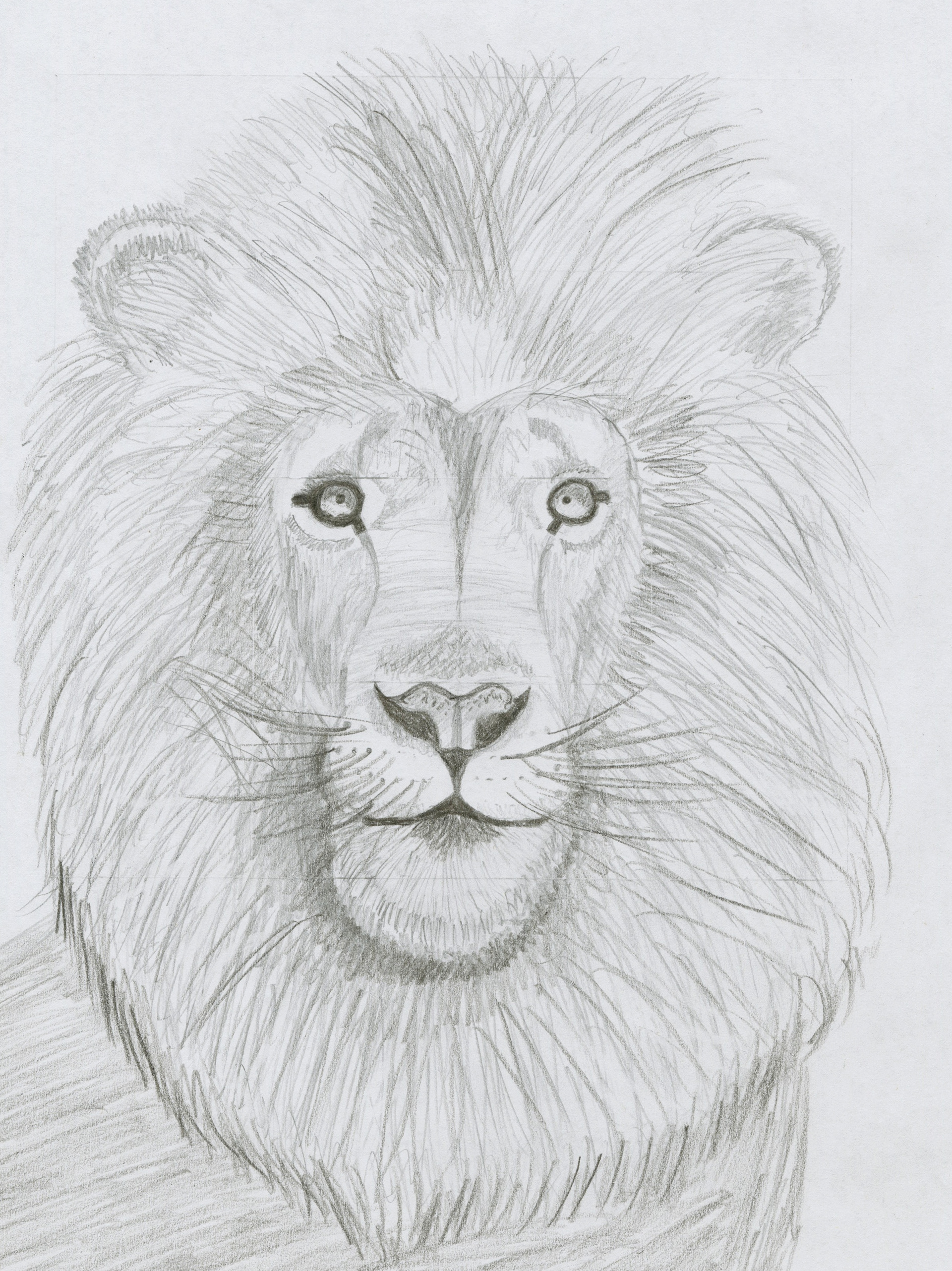 Lion.