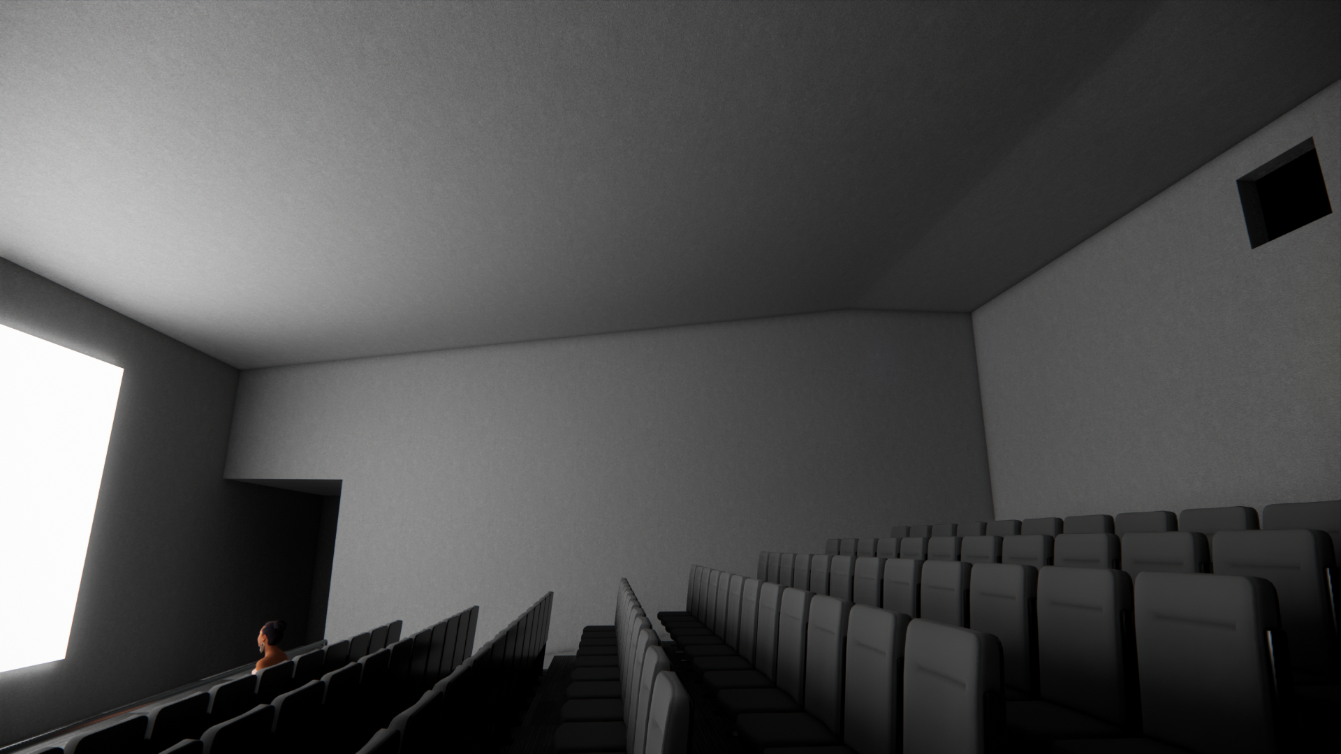 A shot from within the theater showing the slope of the seating as well as the relationship between the screen and projector room.