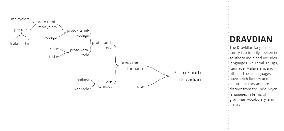 The Dravidian language family, primarily spoken in southern India, presents a distinct linguistic and cultural identity. Dravidian languages like Tamil, Telugu, and Kannada showcase unique grammatical structures, vocabulary, and script systems.