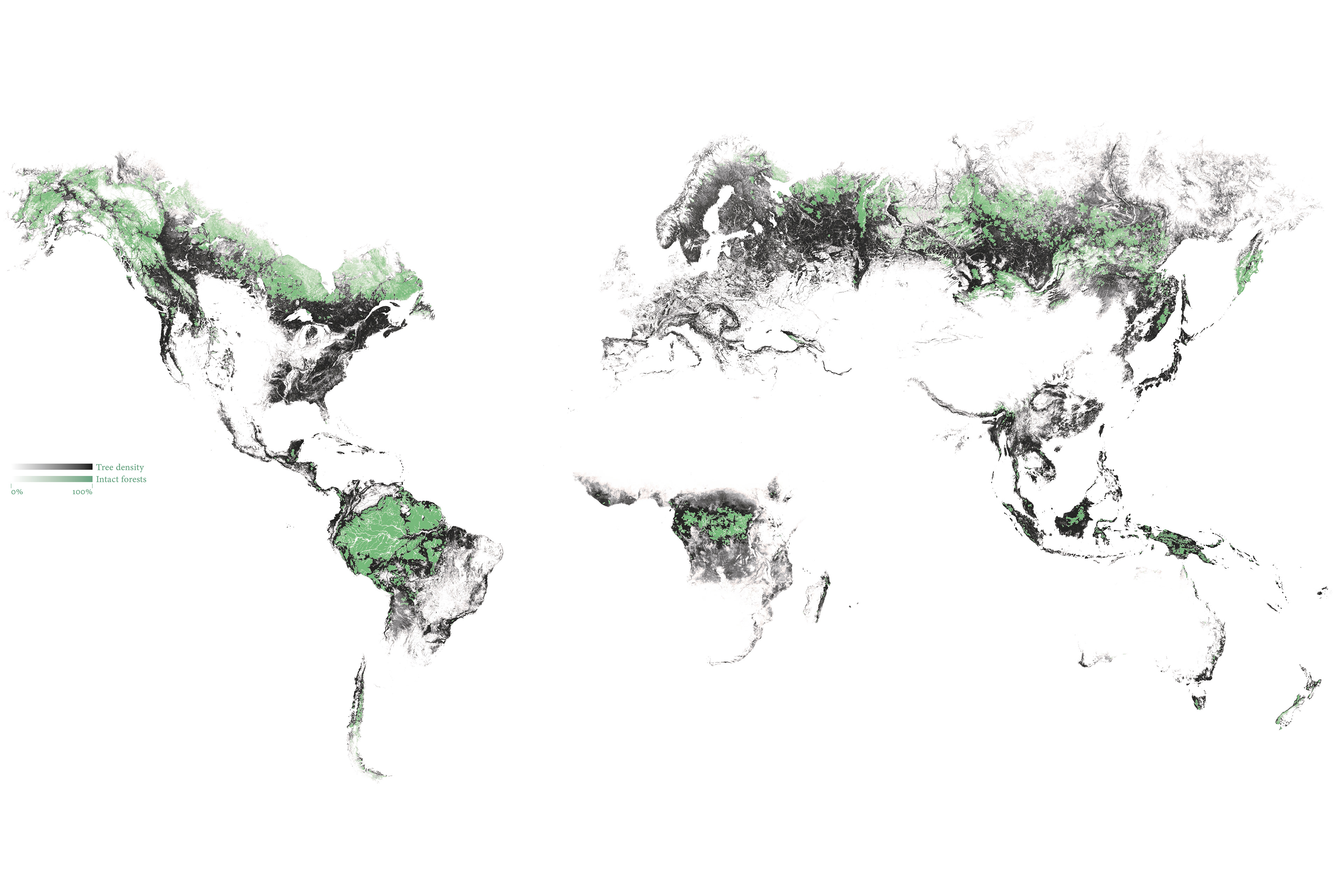 Map of the global tree density and intact forests