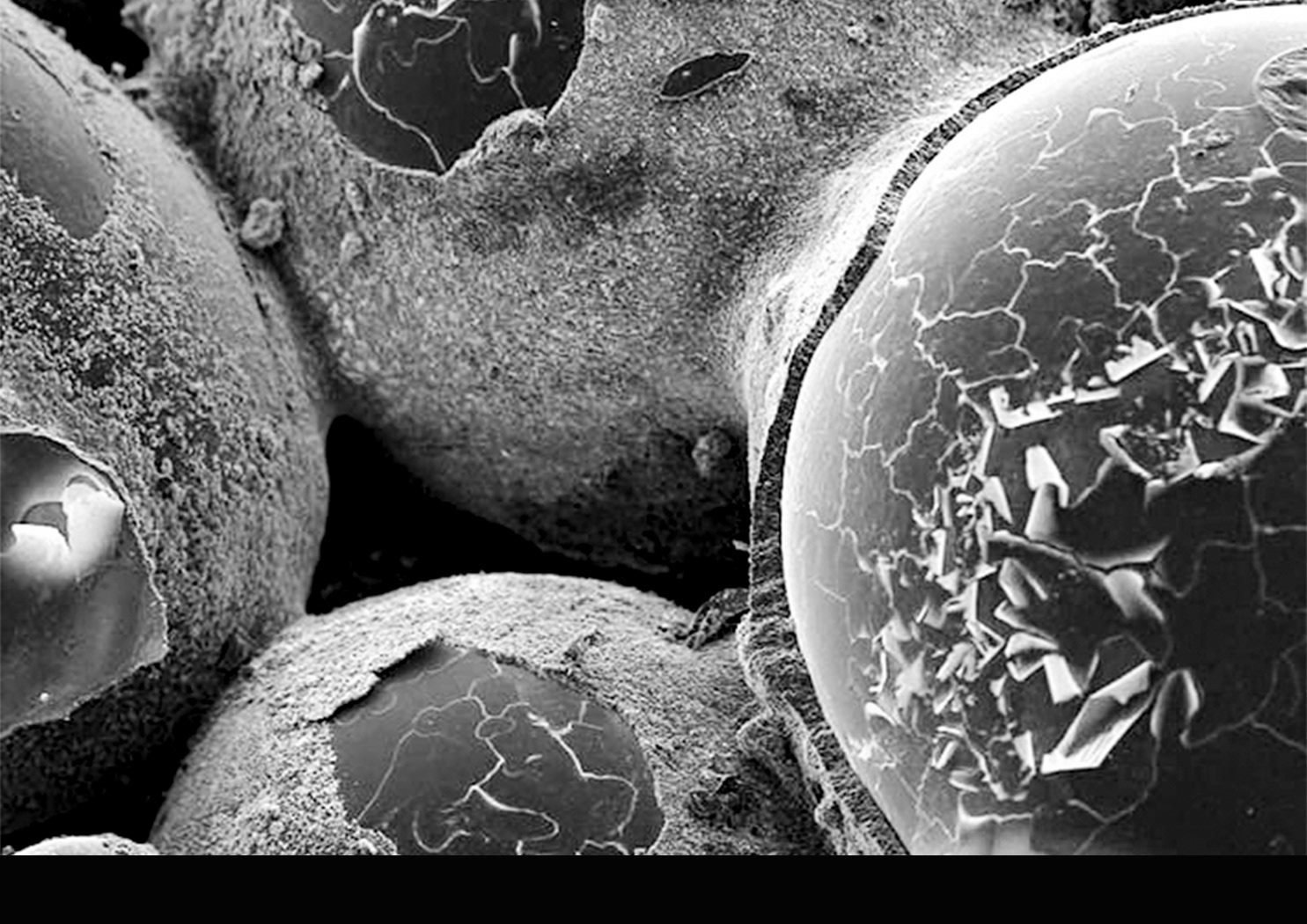 SEM images of MICP-treated glassbeads with precipitated calcite minerals | Reprinted from "bioMASON®"