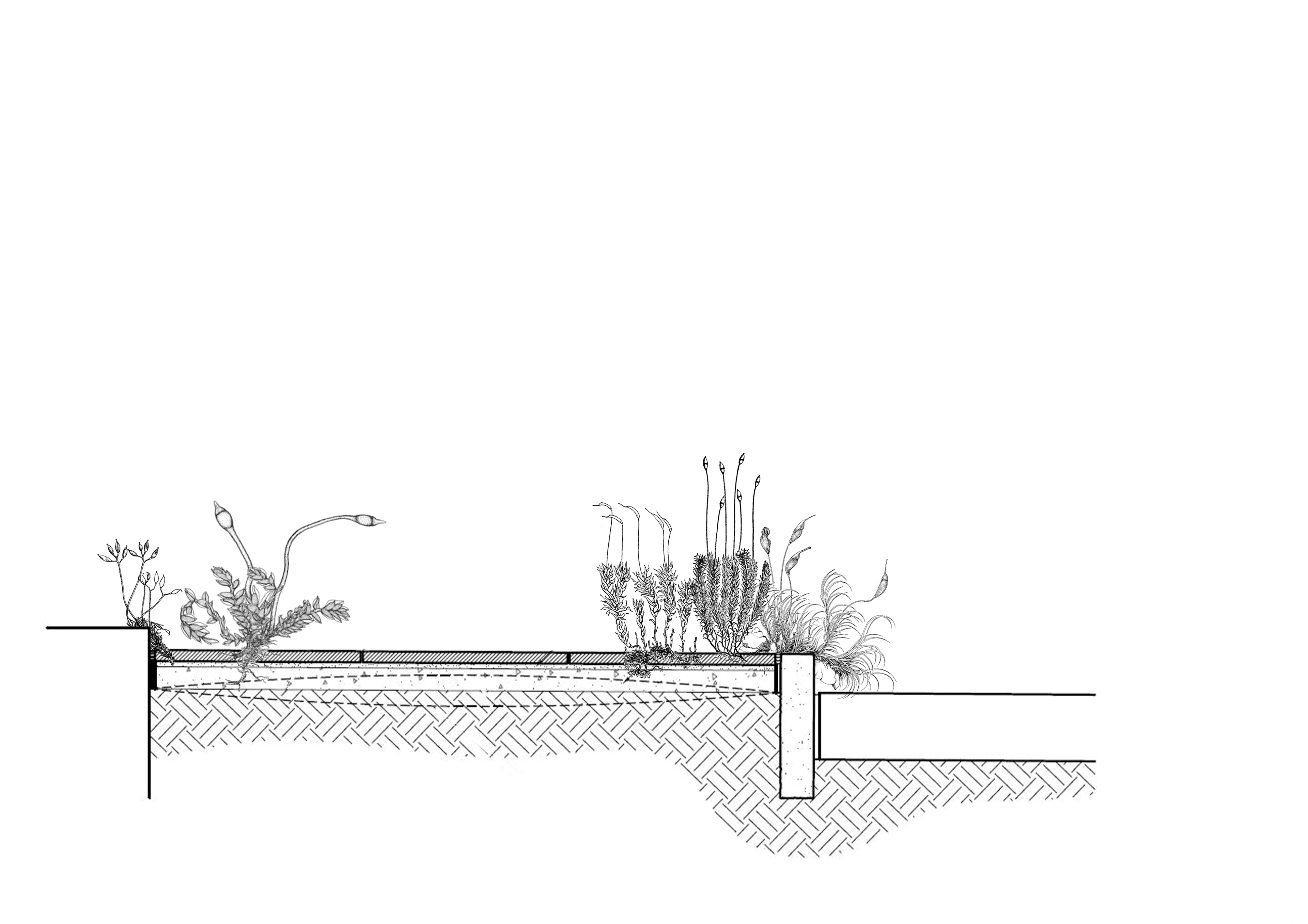 early concept: Green Sidewalk