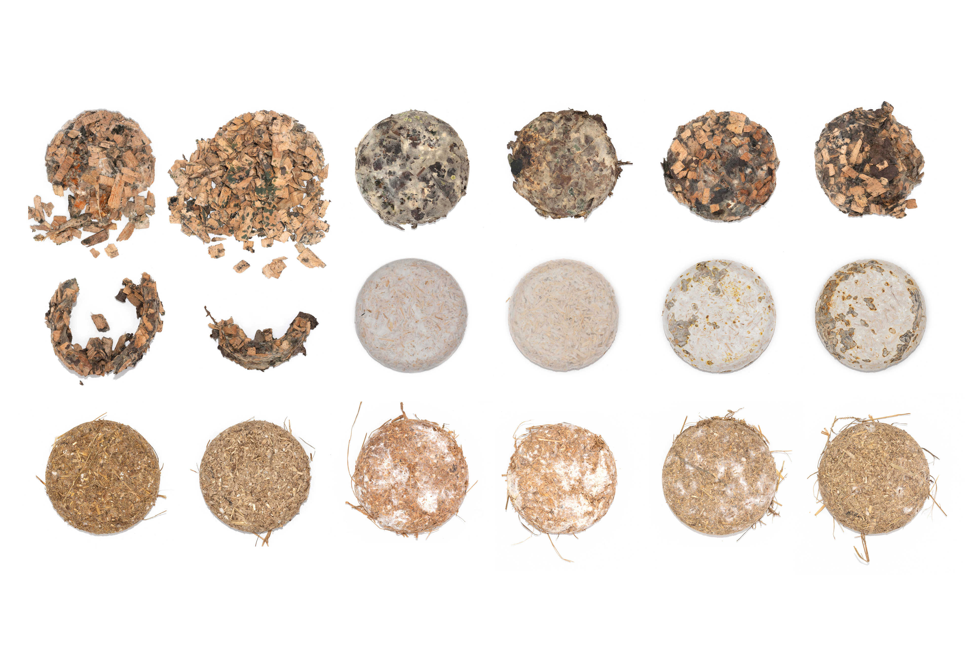 Mushroom-composite samples