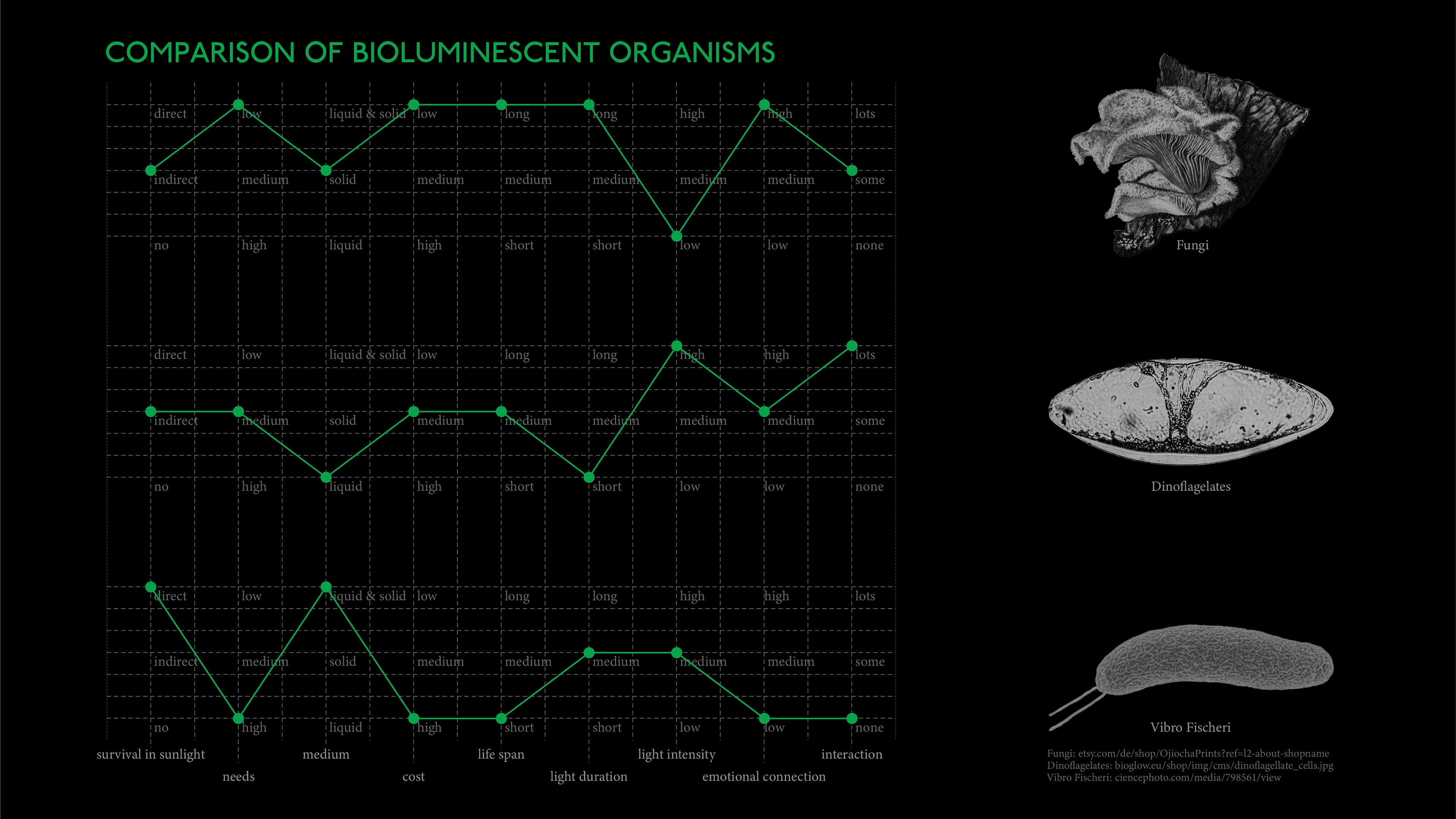 Comparison of bioluminescent organisms