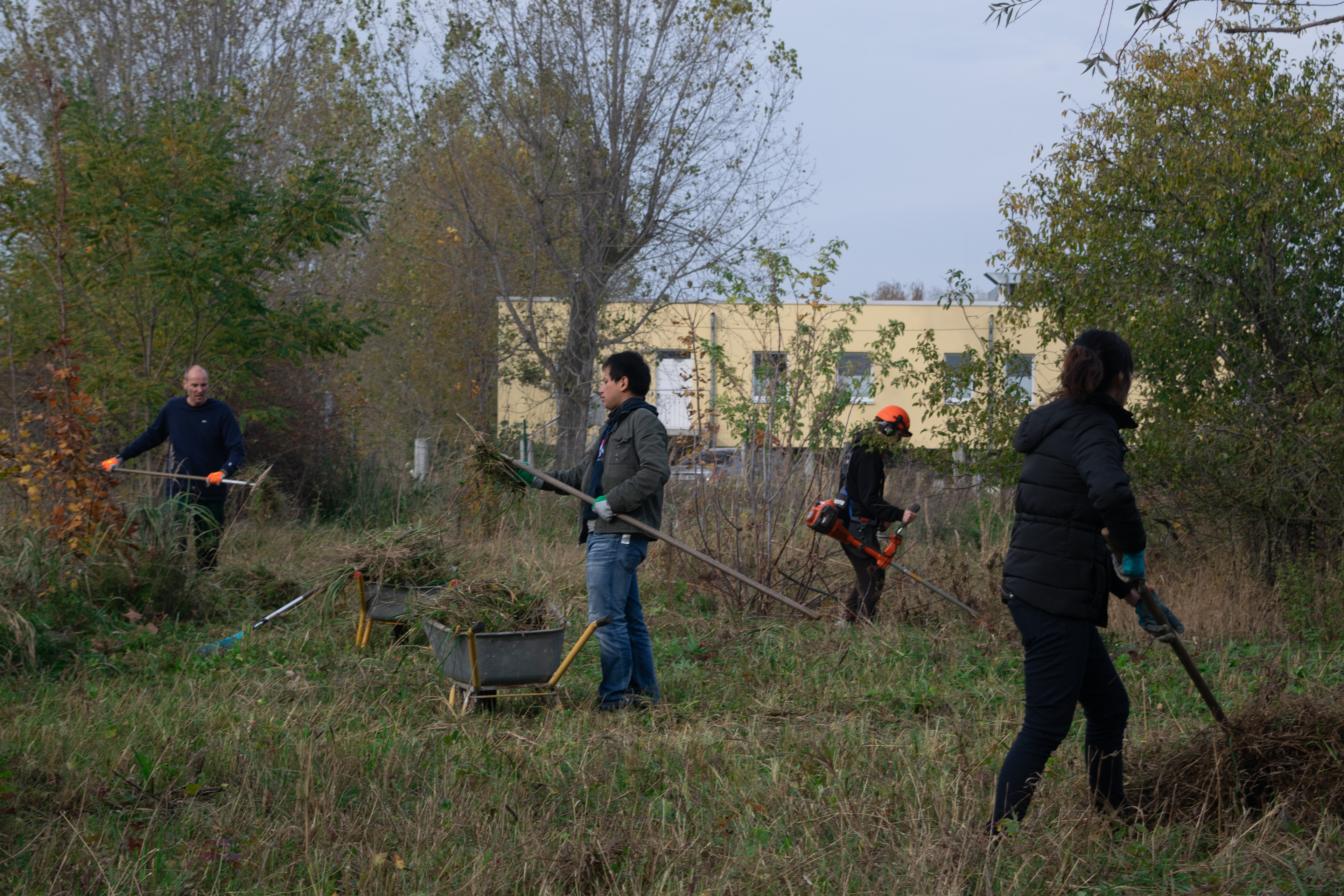Volunteers at a restoration project