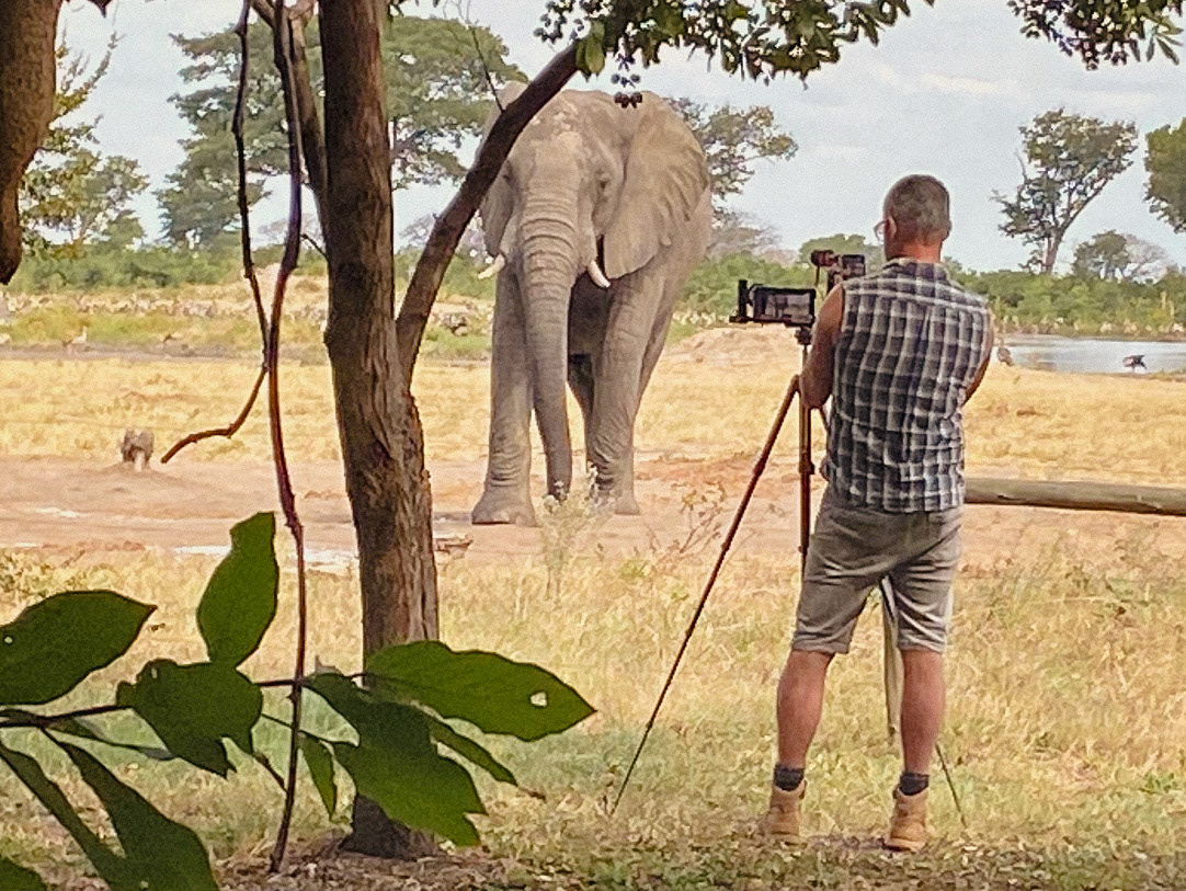 Filming elephants in Botswana