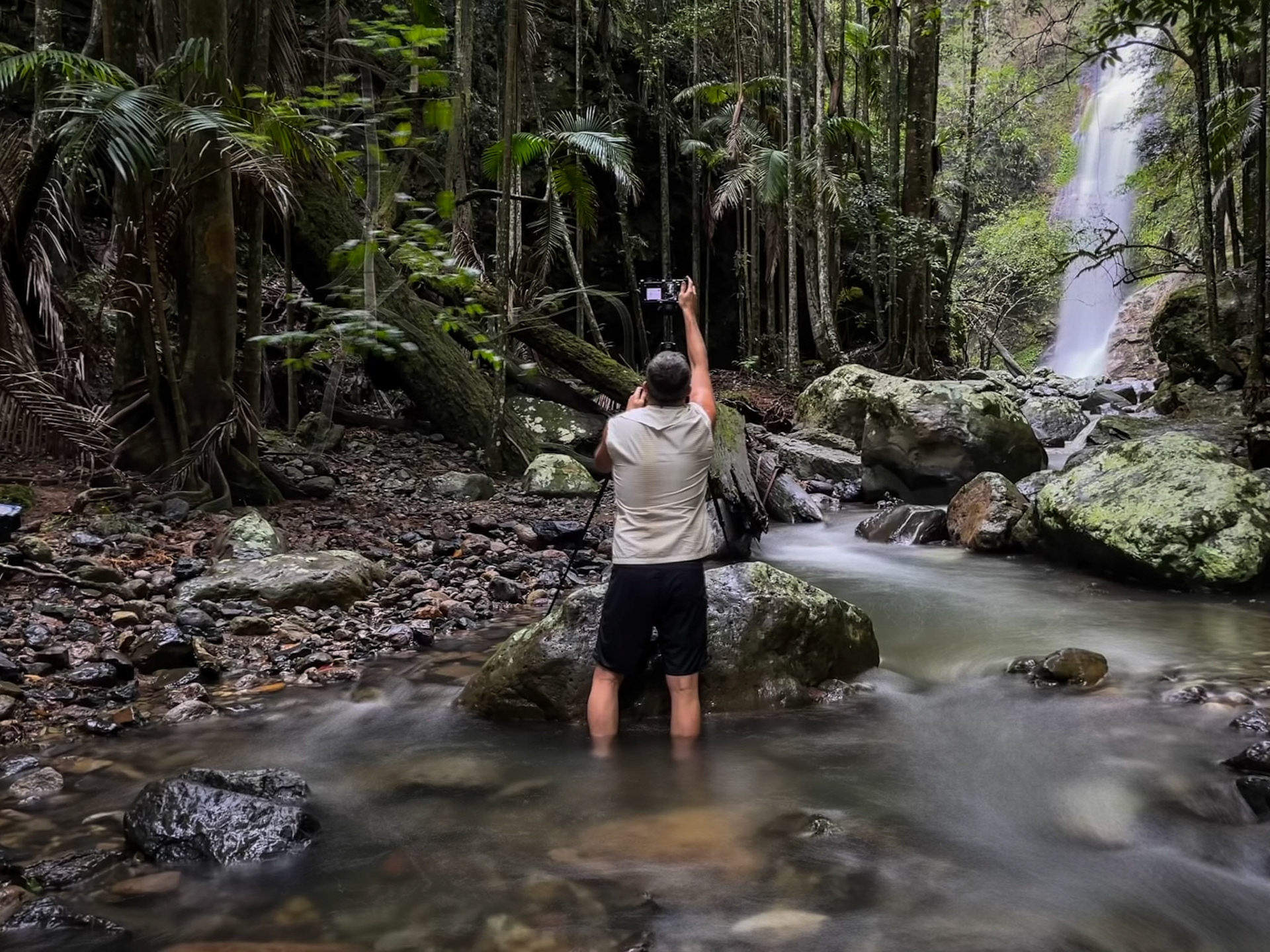 In the rainforest recording marketing material for the Filmic Pro team, which was used in the launch of Filmic's latest feature update