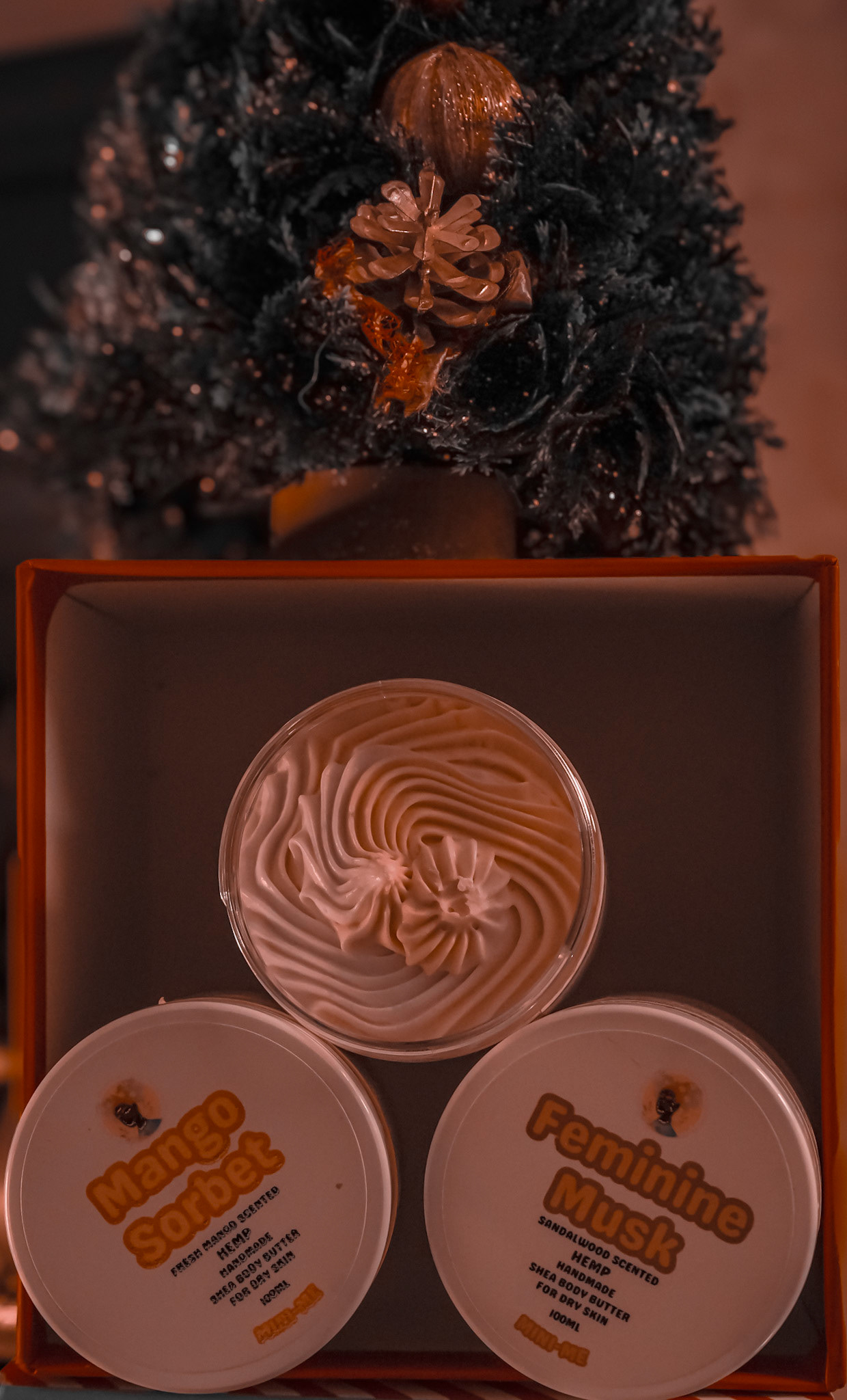 Wadziieslittleshop Christmas Campaign