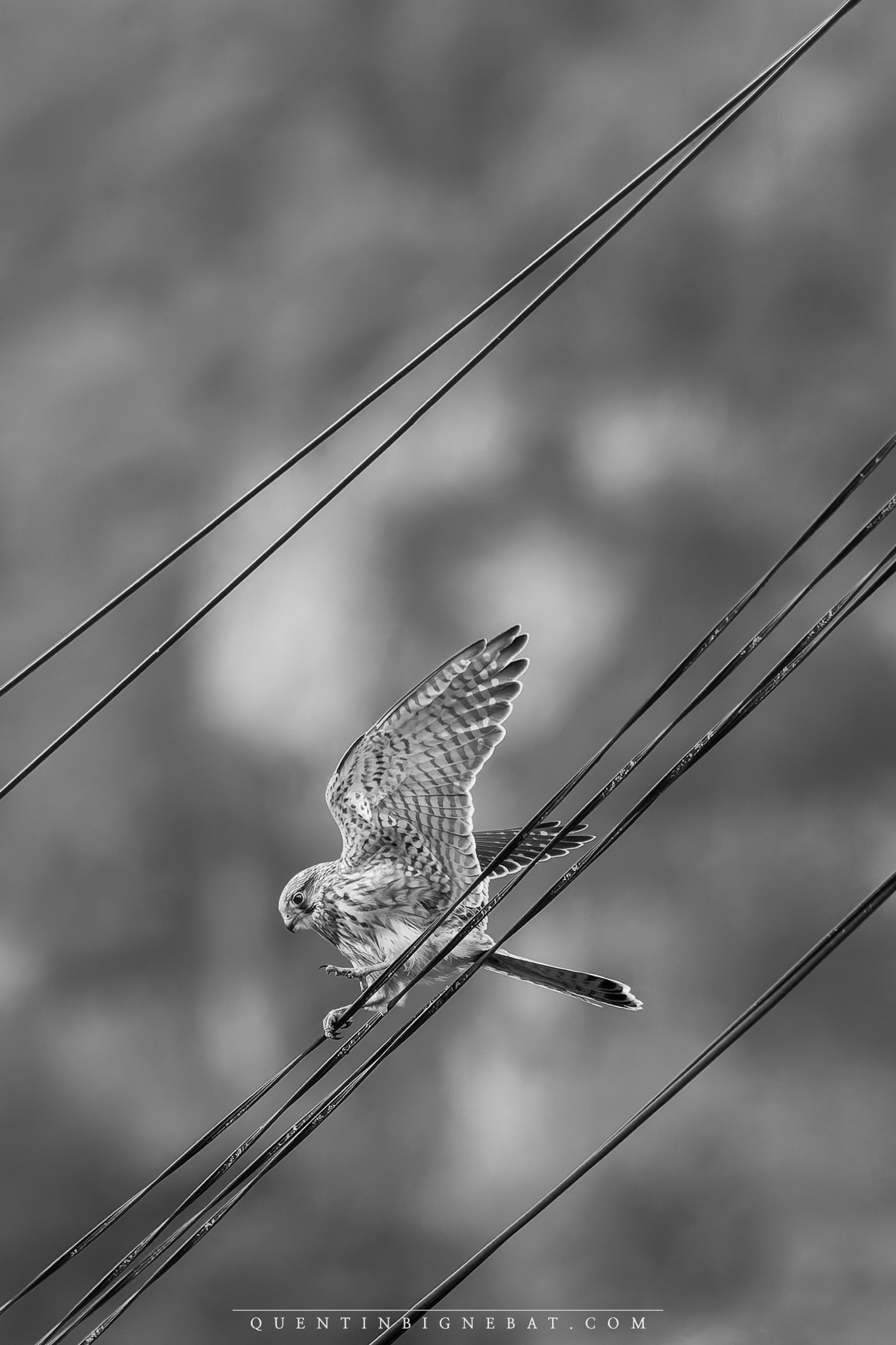 "Équilibre" - Octobre 2024