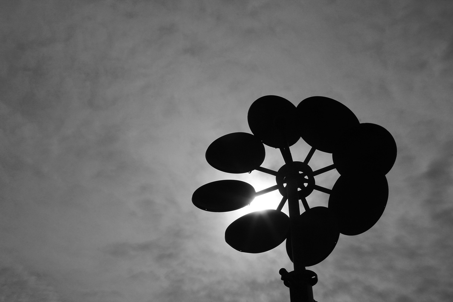 Windmill, 2021