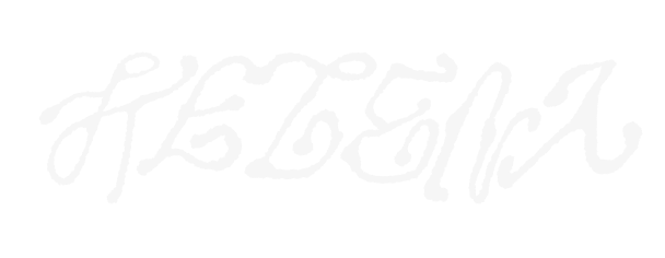 Helena Zanette