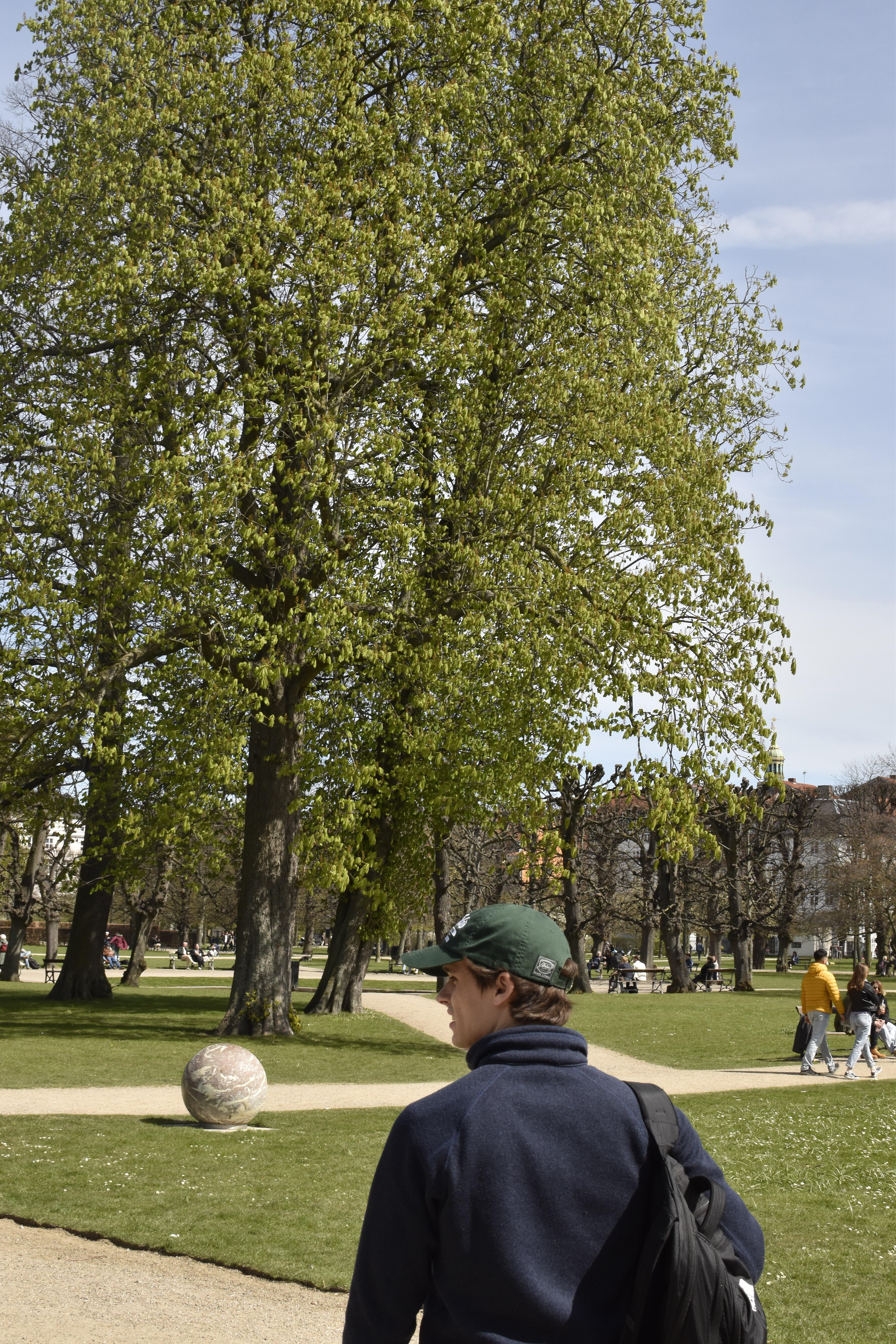 Balade avec Henri dans King's Garden