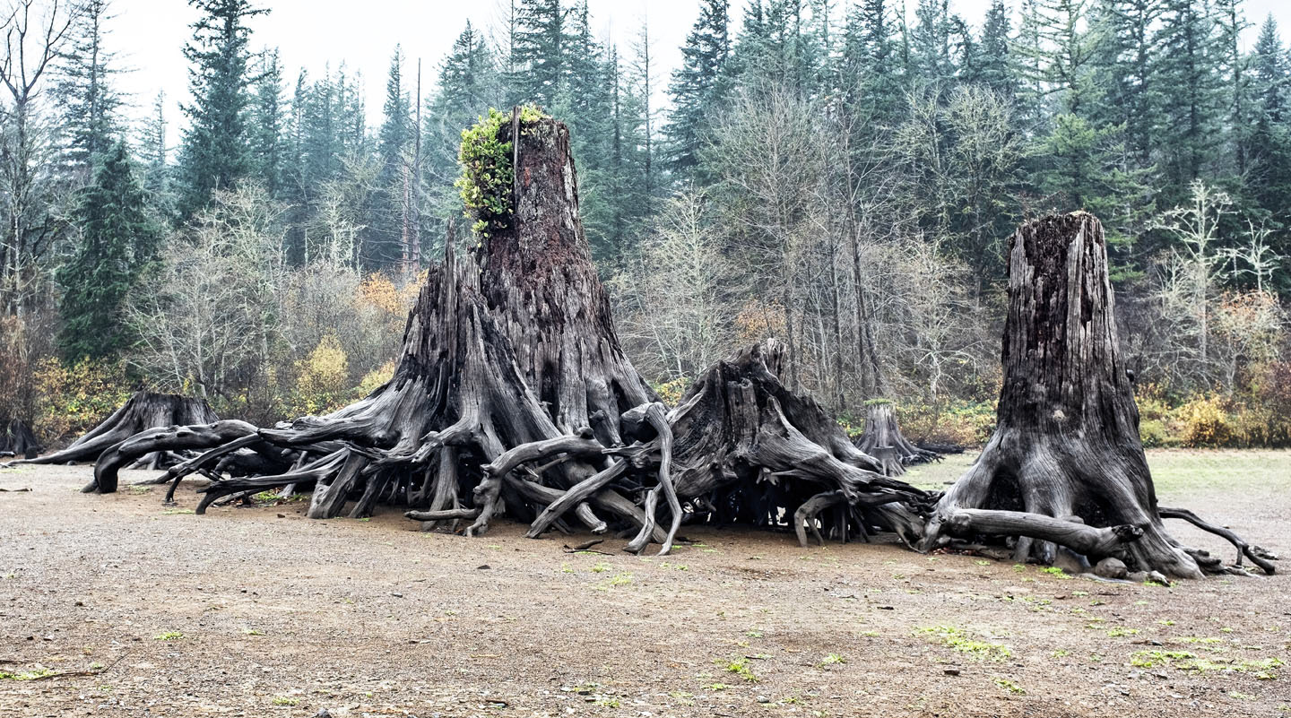 November 30 - Untitled #350