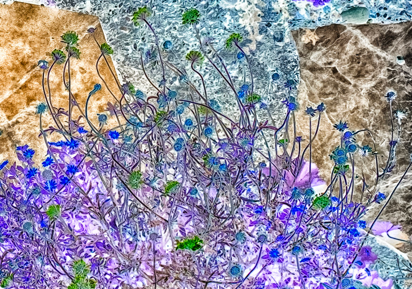 July 13 - Untitled Inverse #40