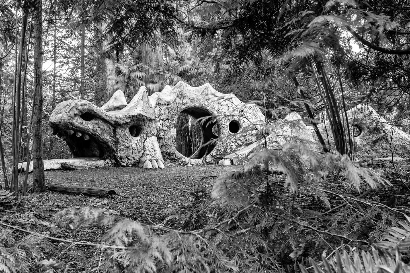 March 1, 2026 - Untitled #363