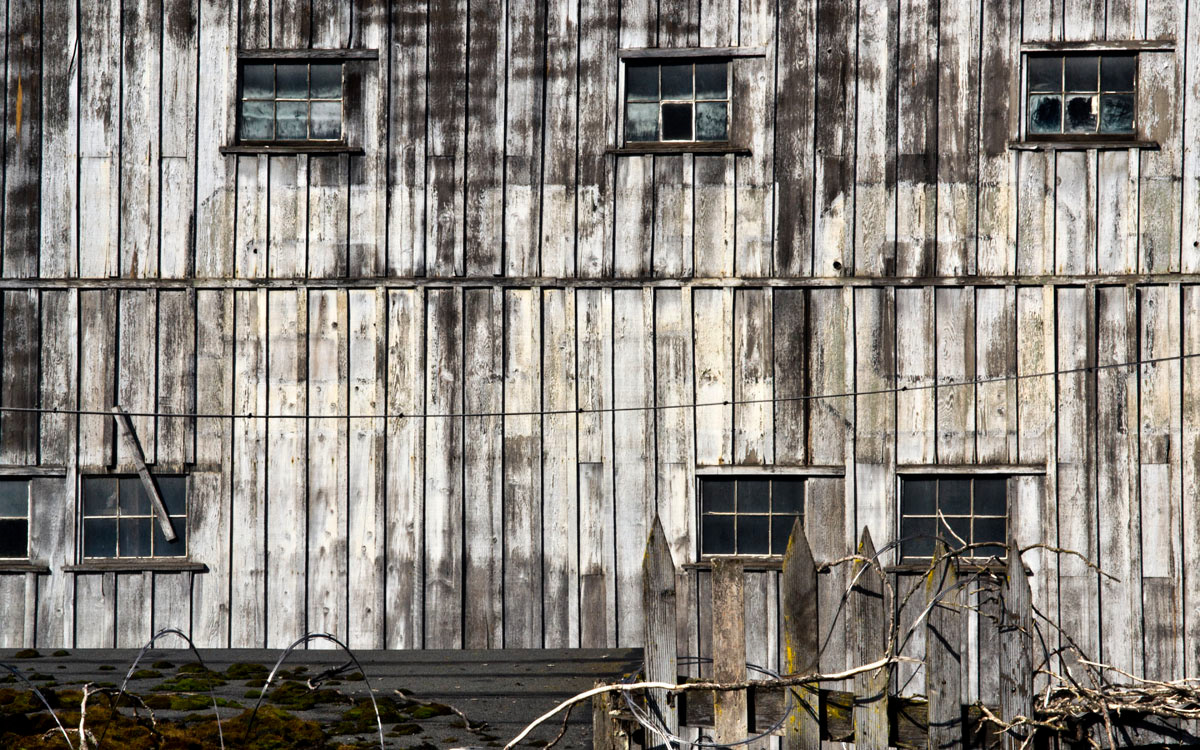 Barn 2, 2016