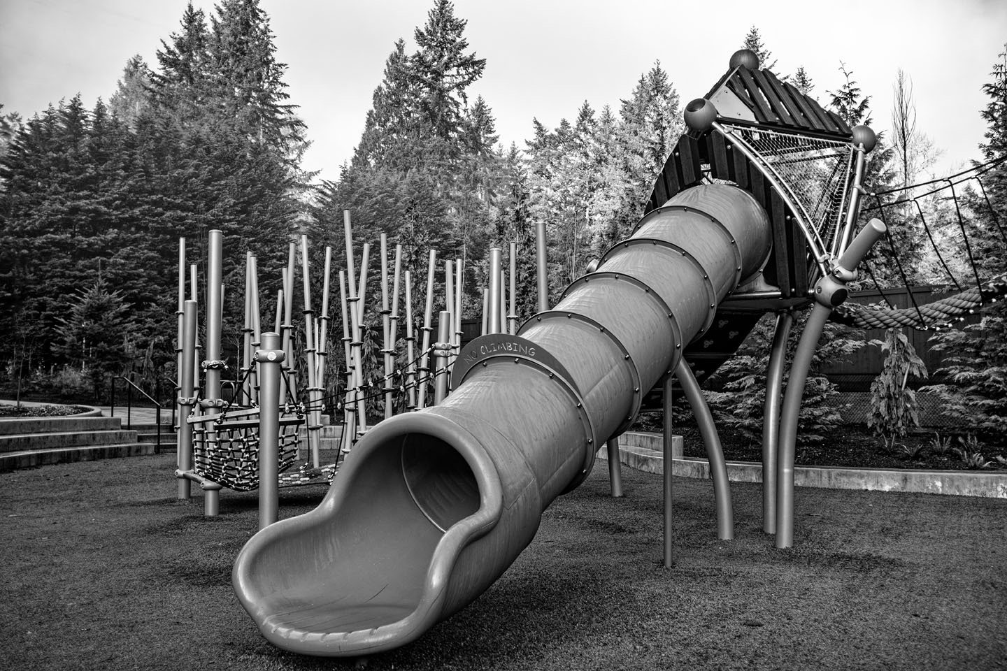 January 4, 2026 - Untitled #354