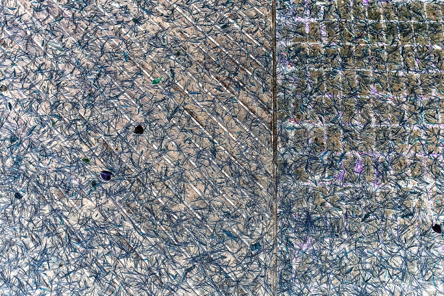Untitled Inverse 42