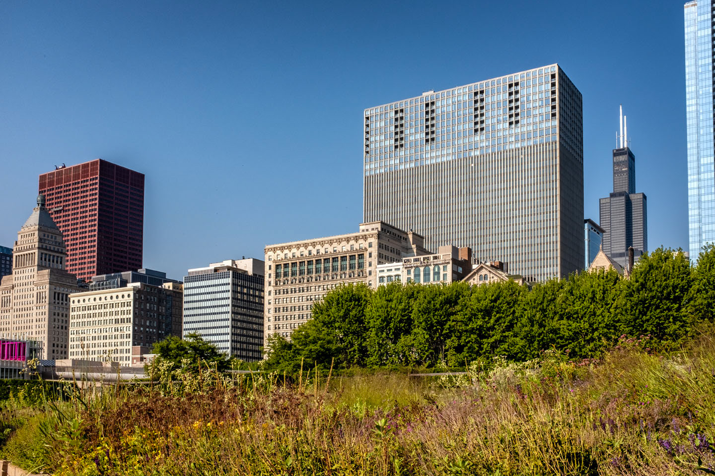 February 8, 2026 - Untitled #246